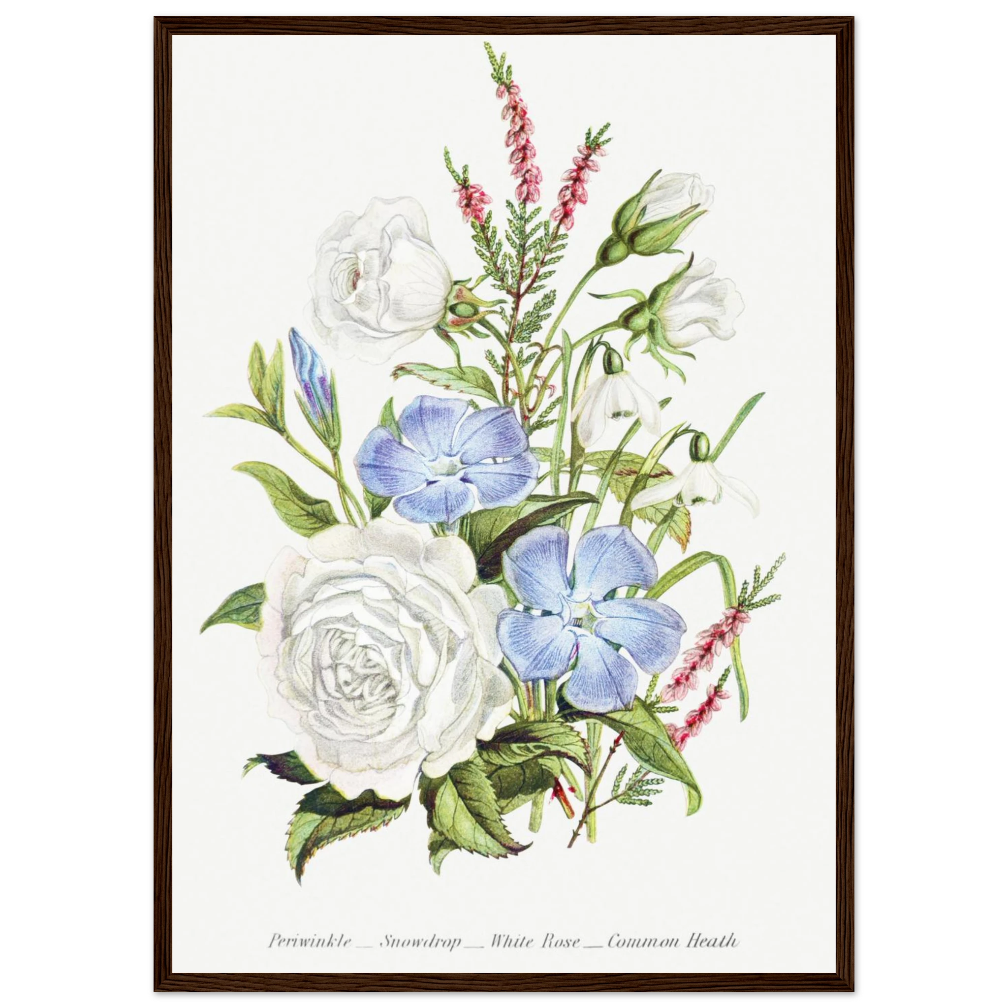 0b081065-884e-49ba-a1a1-96ed67fc0605