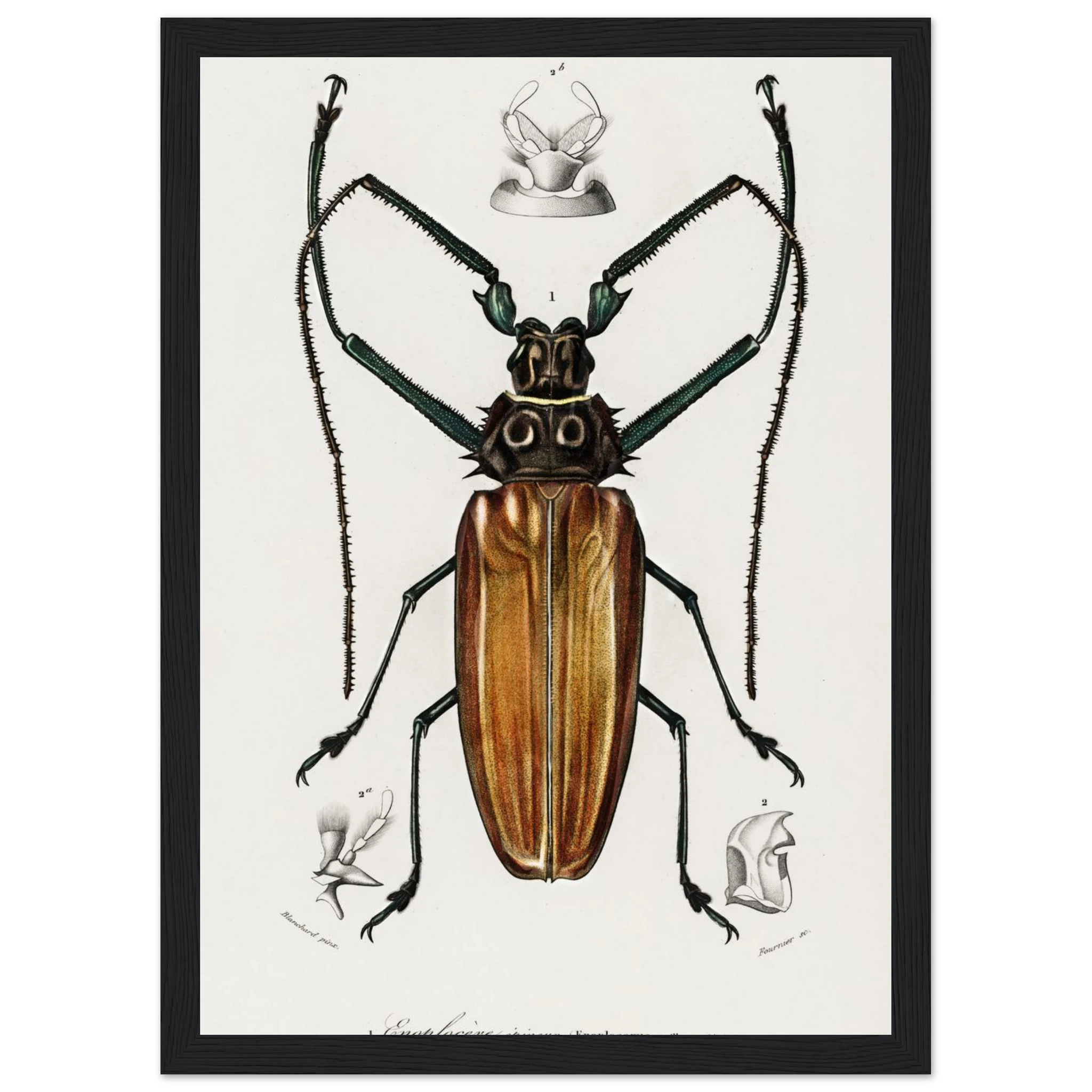 0b891cc2-219f-4a88-b576-76be078378ff