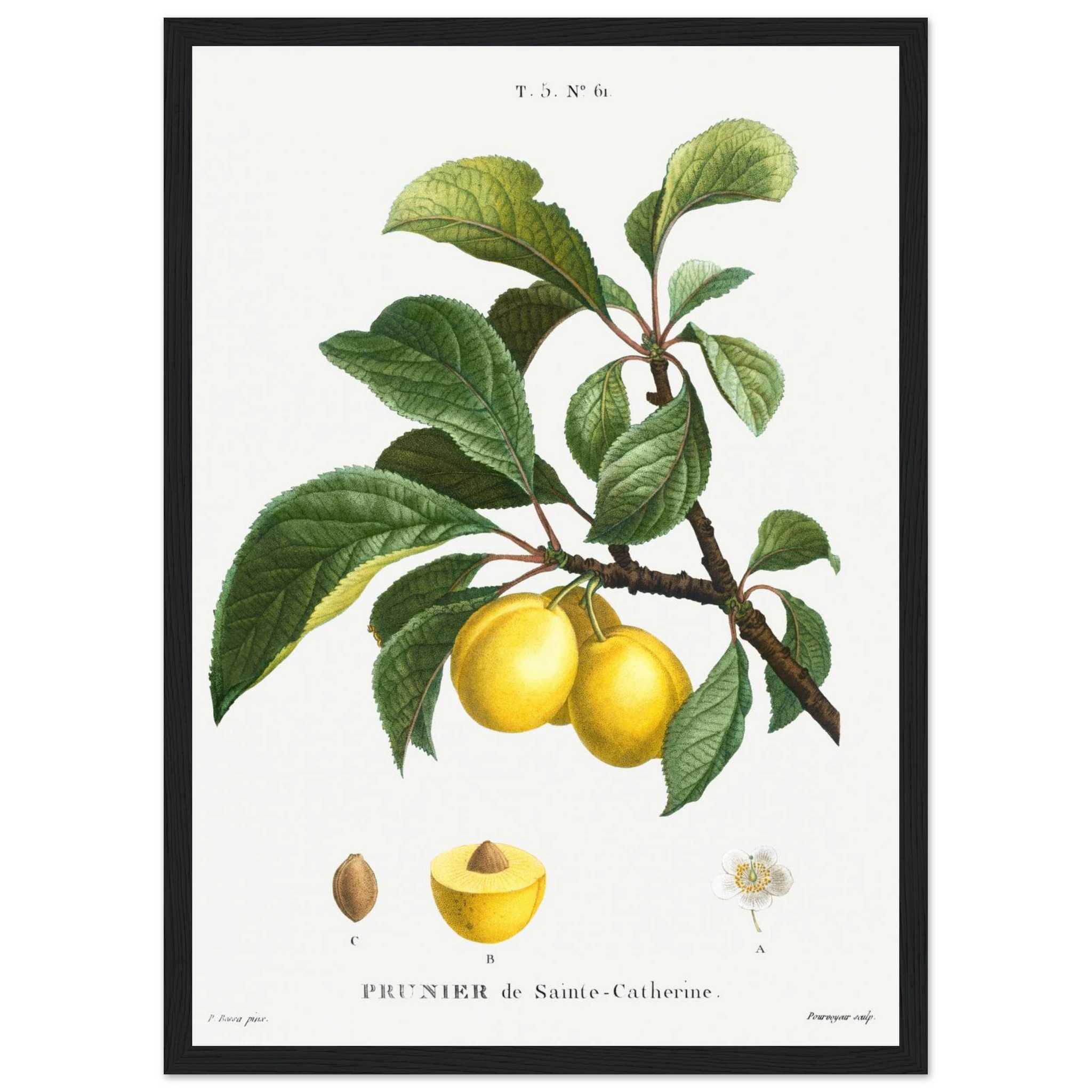 0baf357e-467e-4c2c-b3b2-47906a6c851e