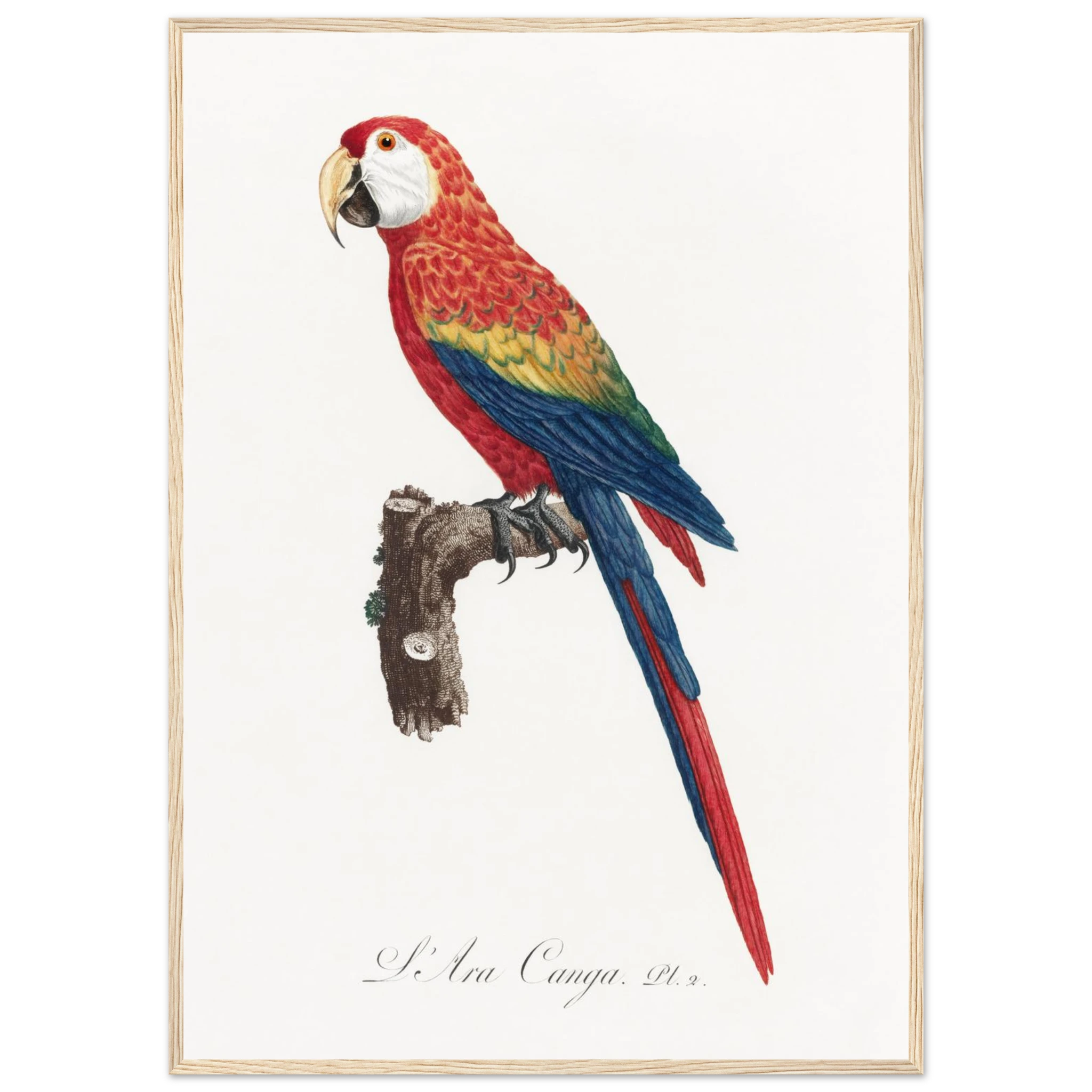 0bc48138-676e-4600-8194-351079f4d851