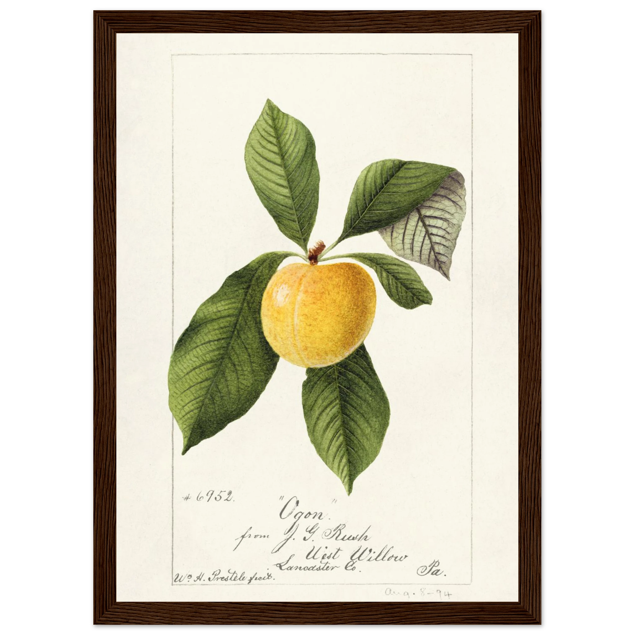 0bdd47af-5fa7-45bc-b678-13aad342700a