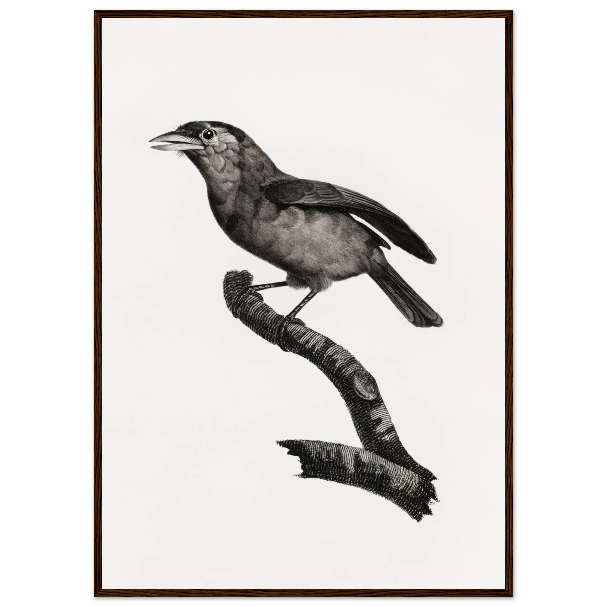 0c117a1a-ea37-4d4c-be26-d076d856820e