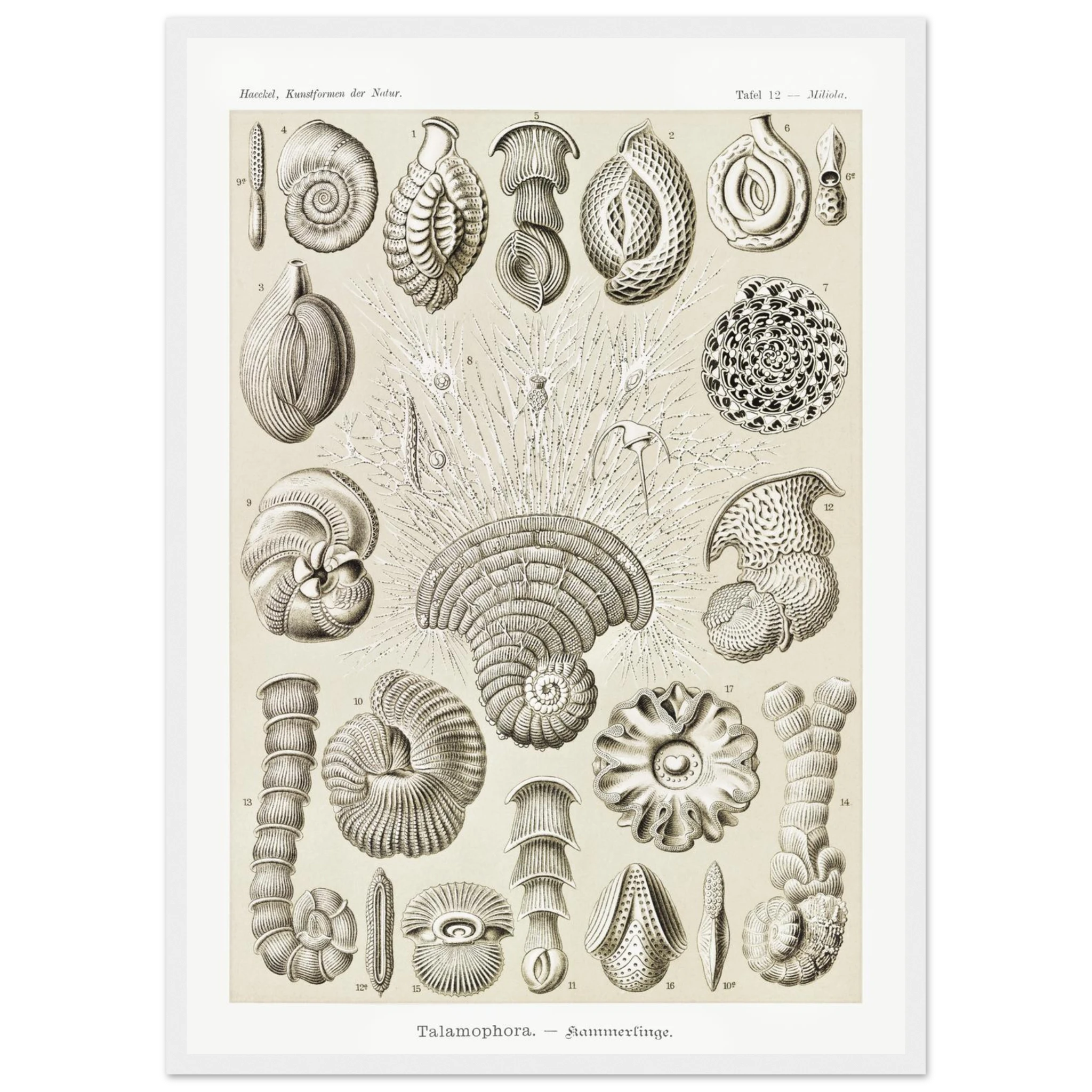 0cab6925-1dac-441a-9dbf-551eef2dba02