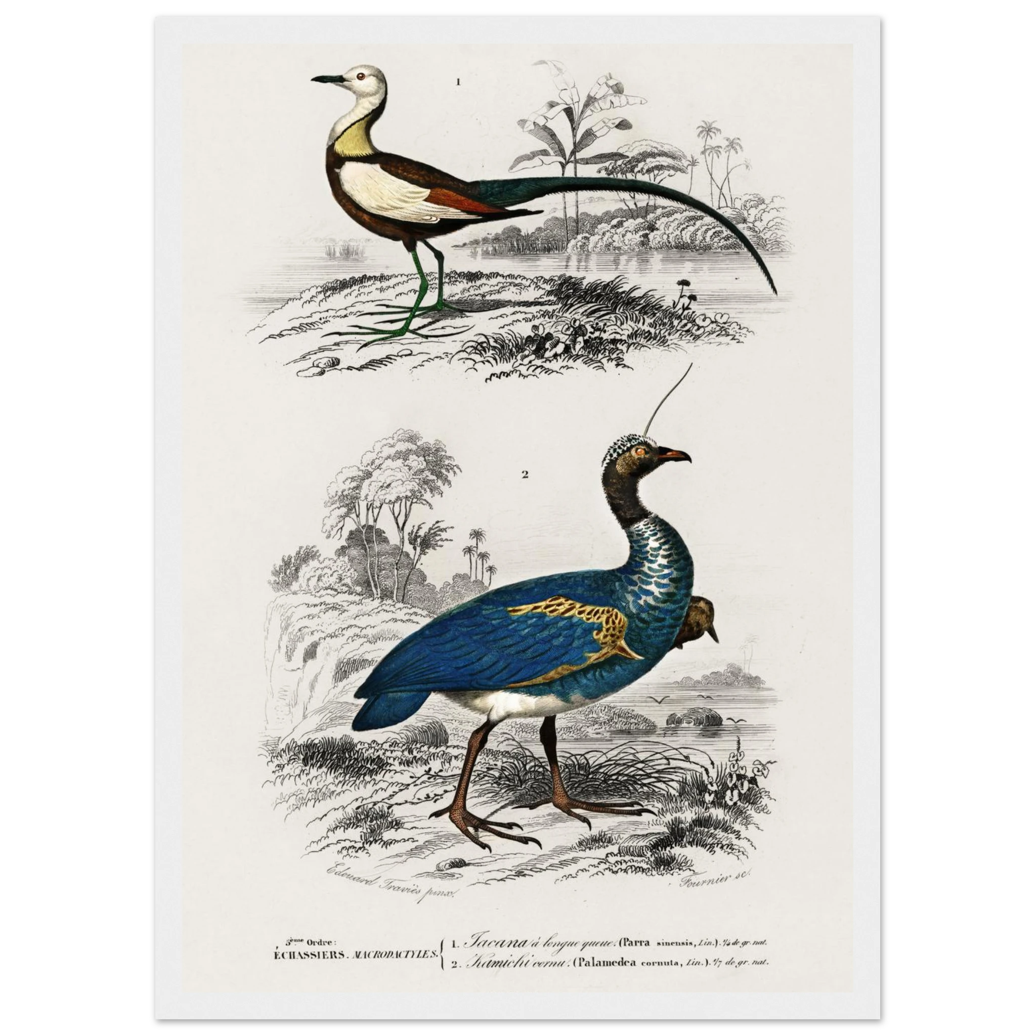 0cbe36e1-523e-4918-b17e-4ed1f1c902d2