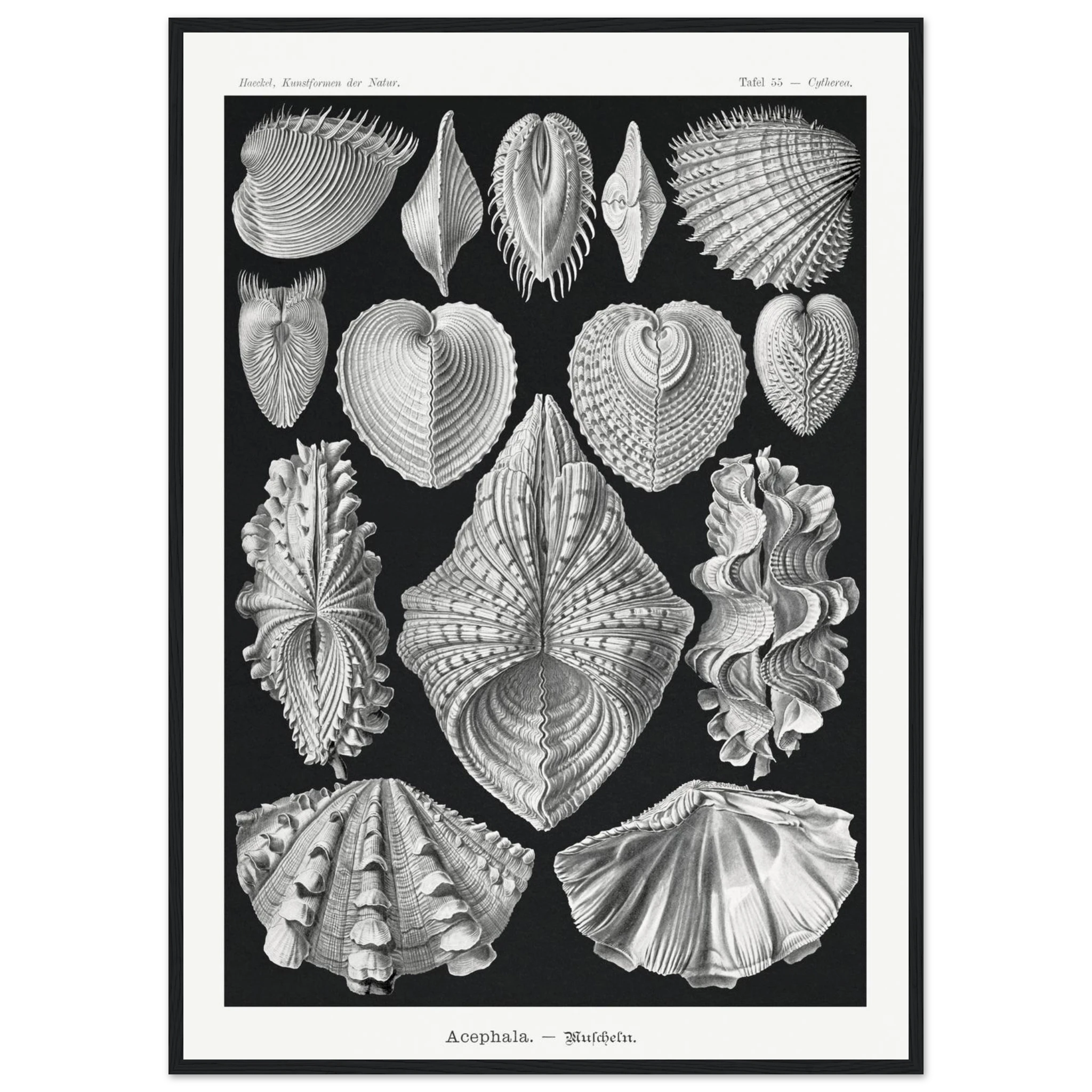 0ce36d17-881a-4fff-be65-c69e2255cf03