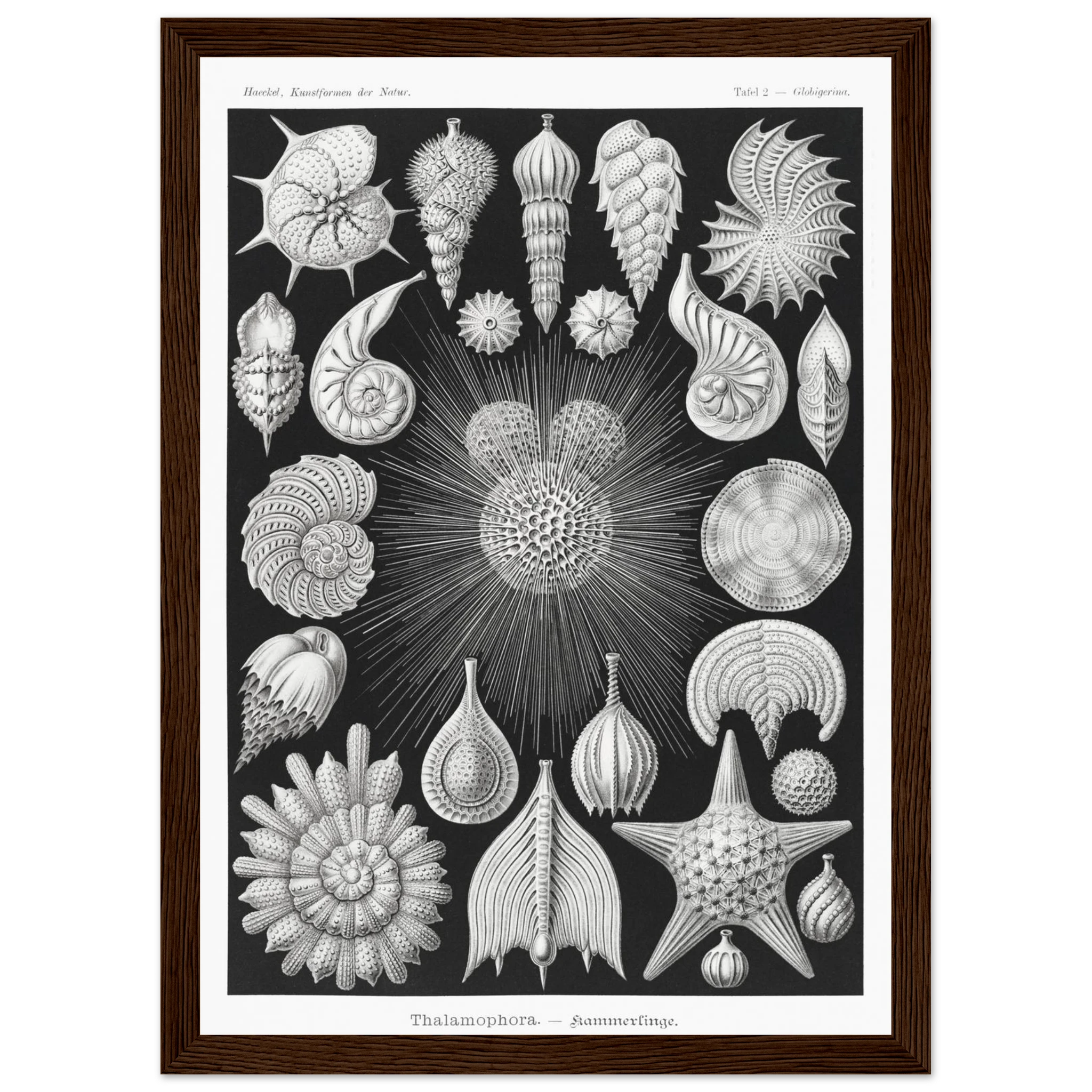 0d7d8f9a-f9e4-49c3-9d8f-d5a73763cd58