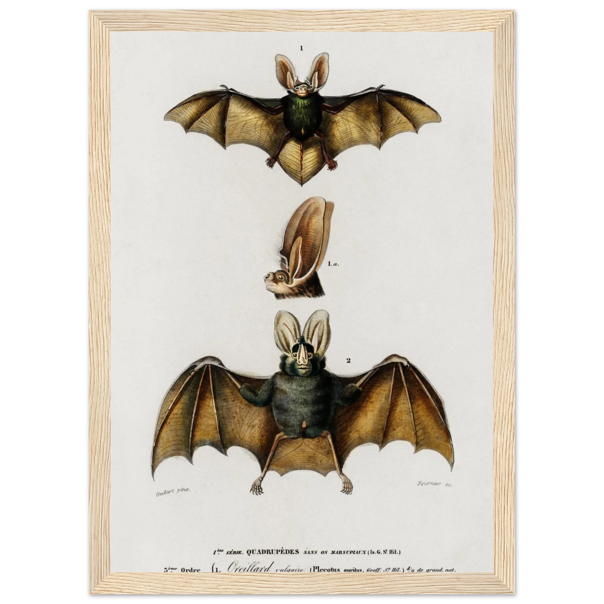 0dde190f-0744-4964-a96c-06e8f871e692