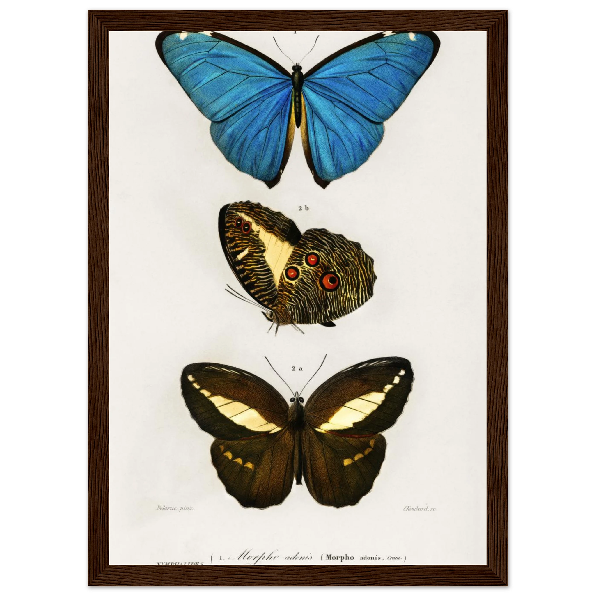 0df48dfb-ee66-45cd-a1ea-906dfe35f951