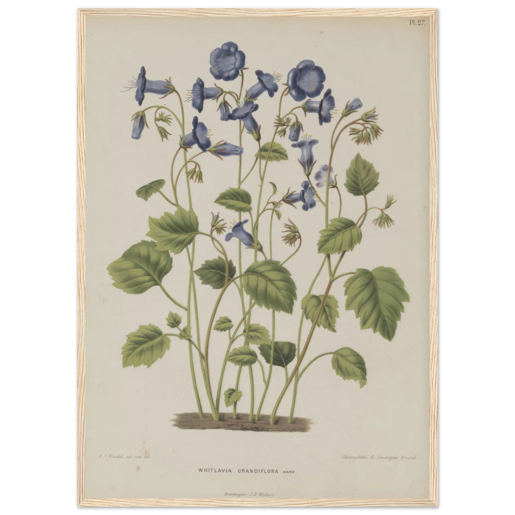 0e0270dc-384d-4dfb-9590-ba19fb87ea76