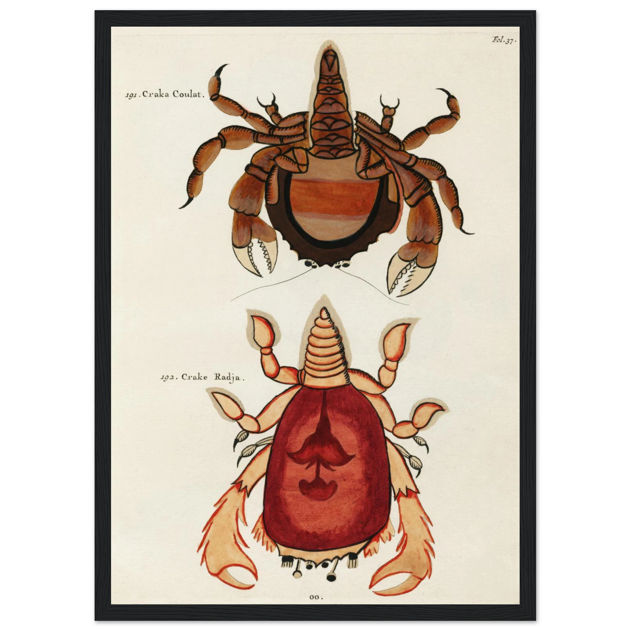 0e11ca28-76e0-42f4-9974-7294cd549c36