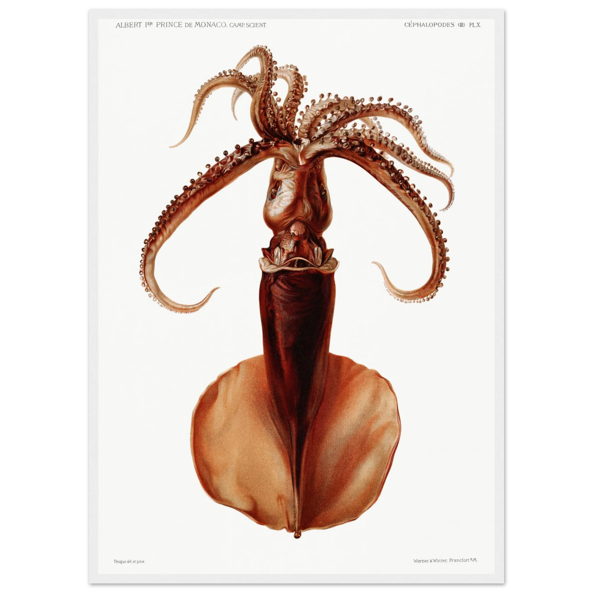 0e1e4ace-6056-4349-812c-ea44512dd7b7