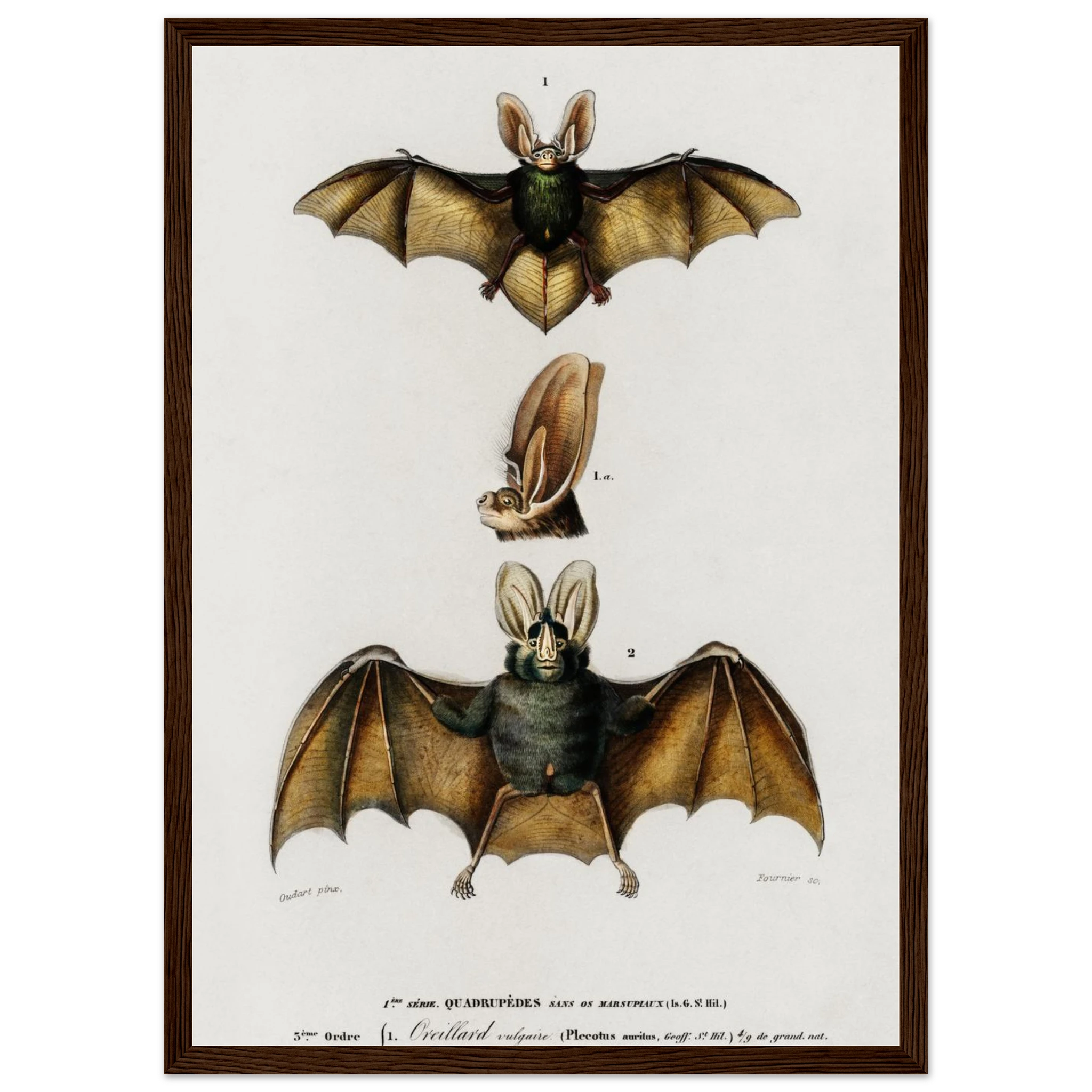 0e2fcccf-8df1-48ee-a0a9-321ea07a8fb6