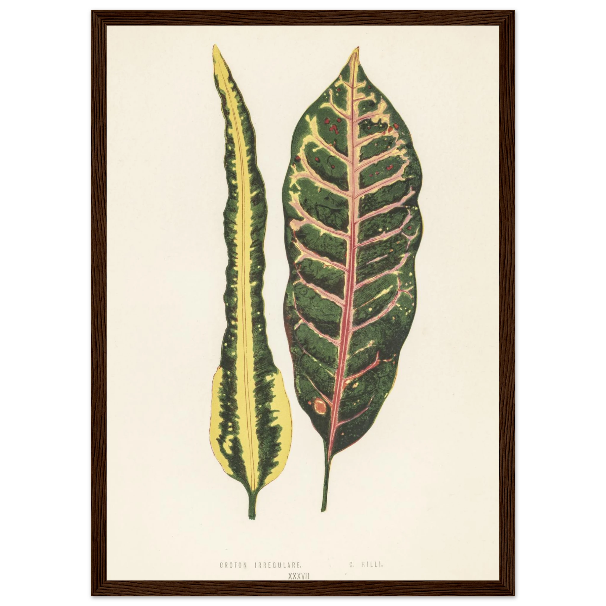 0e4feec2-0658-4b2d-912a-a8514694c474