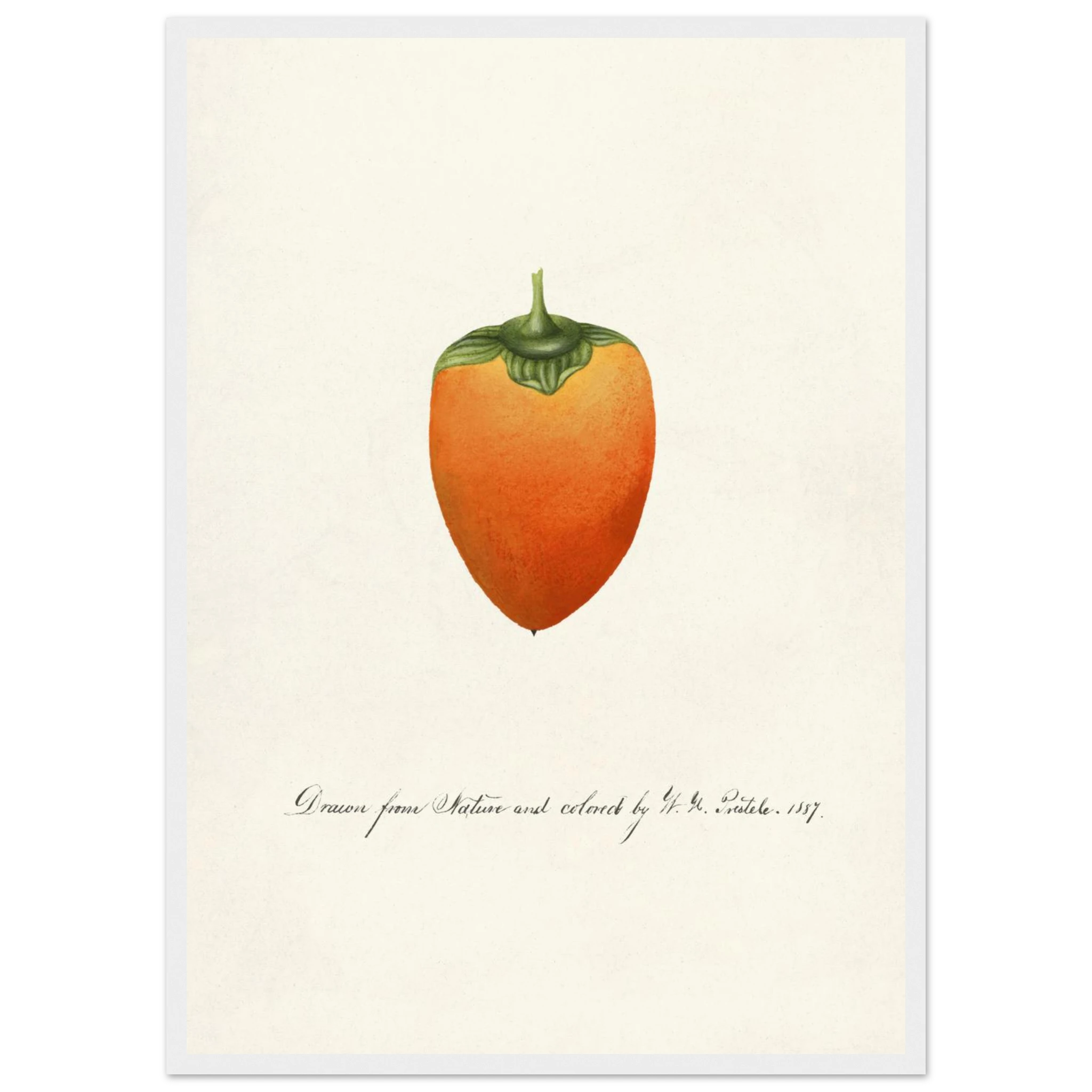 0e572c49-30b8-4dd1-b6b5-583aab7d3626