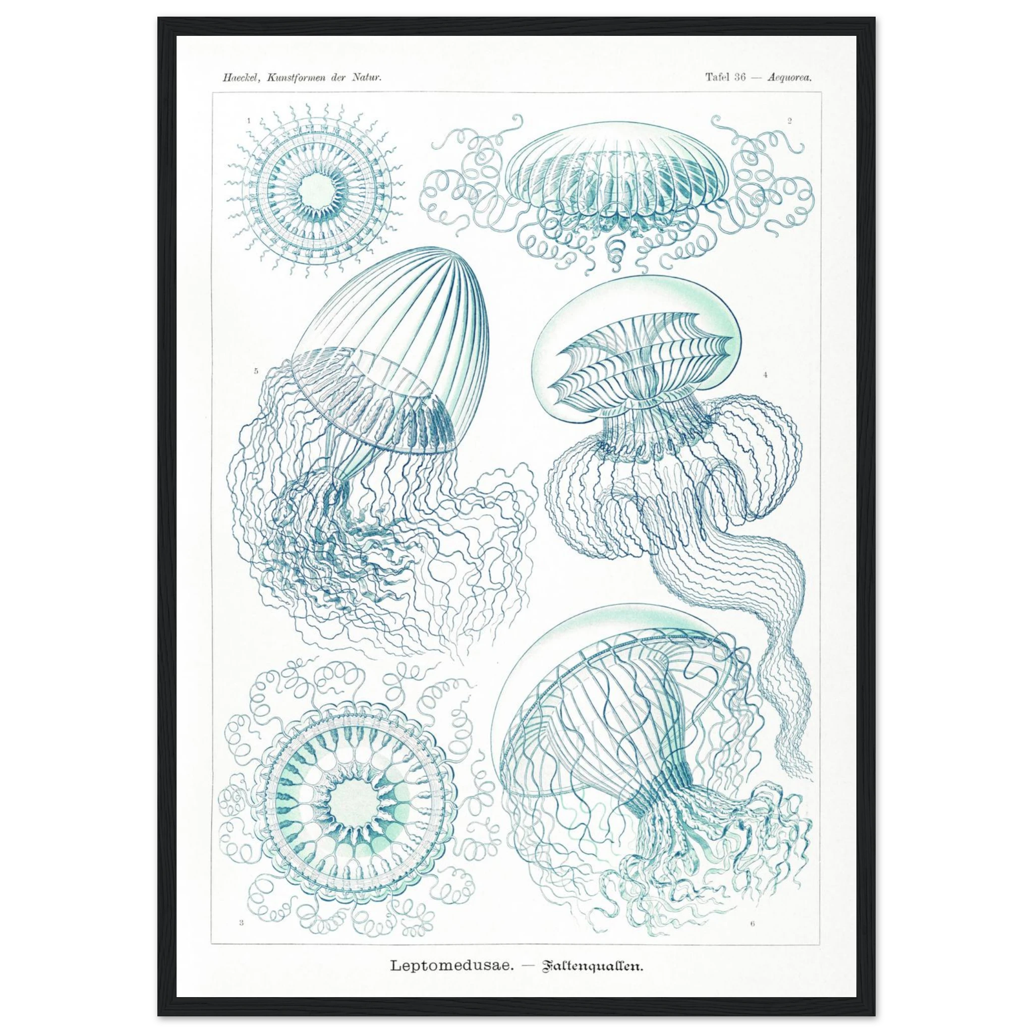 0e5de98a-ac2a-43dc-8610-7069c6ab8e1f