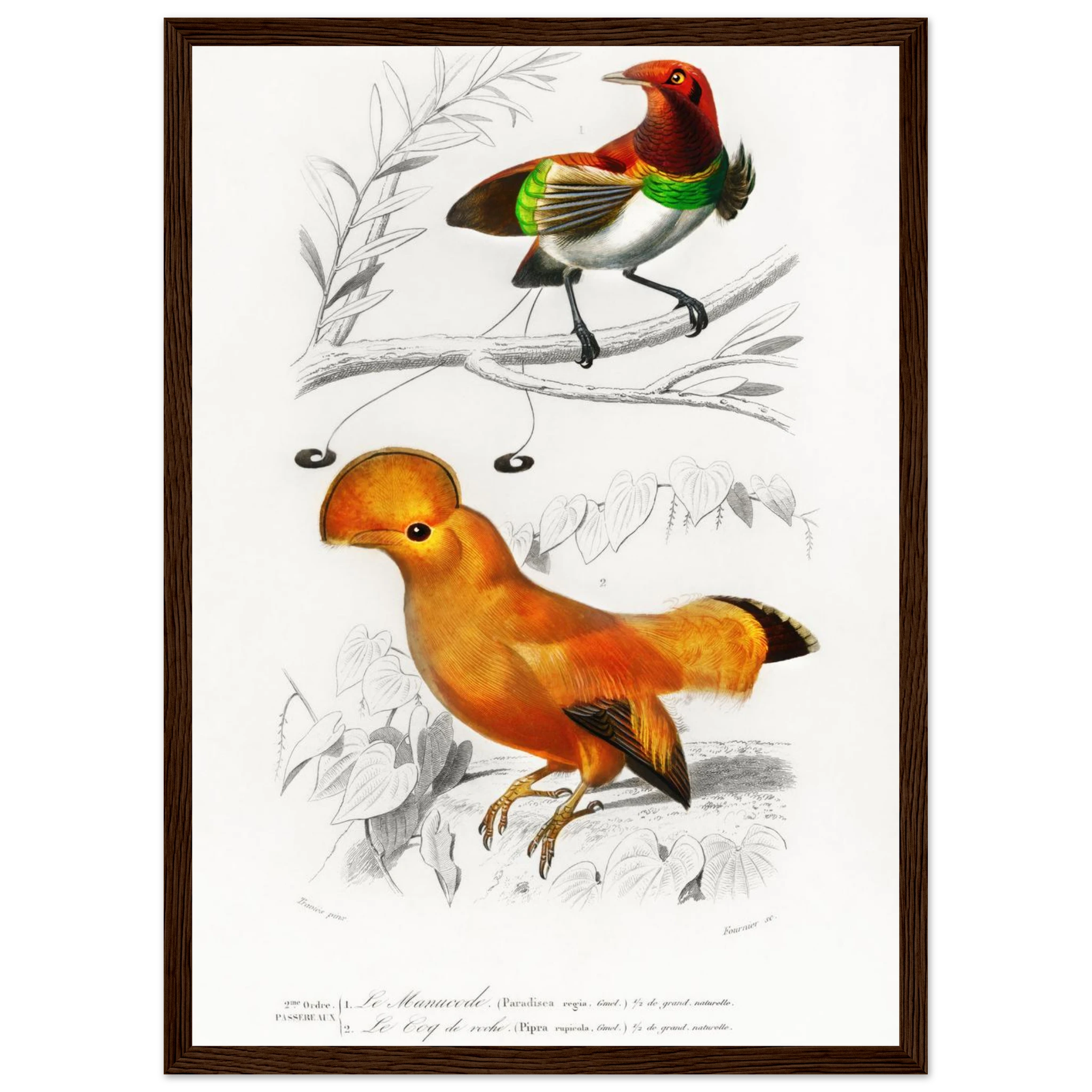 0e607754-e03f-4648-8137-afc86ffe2748