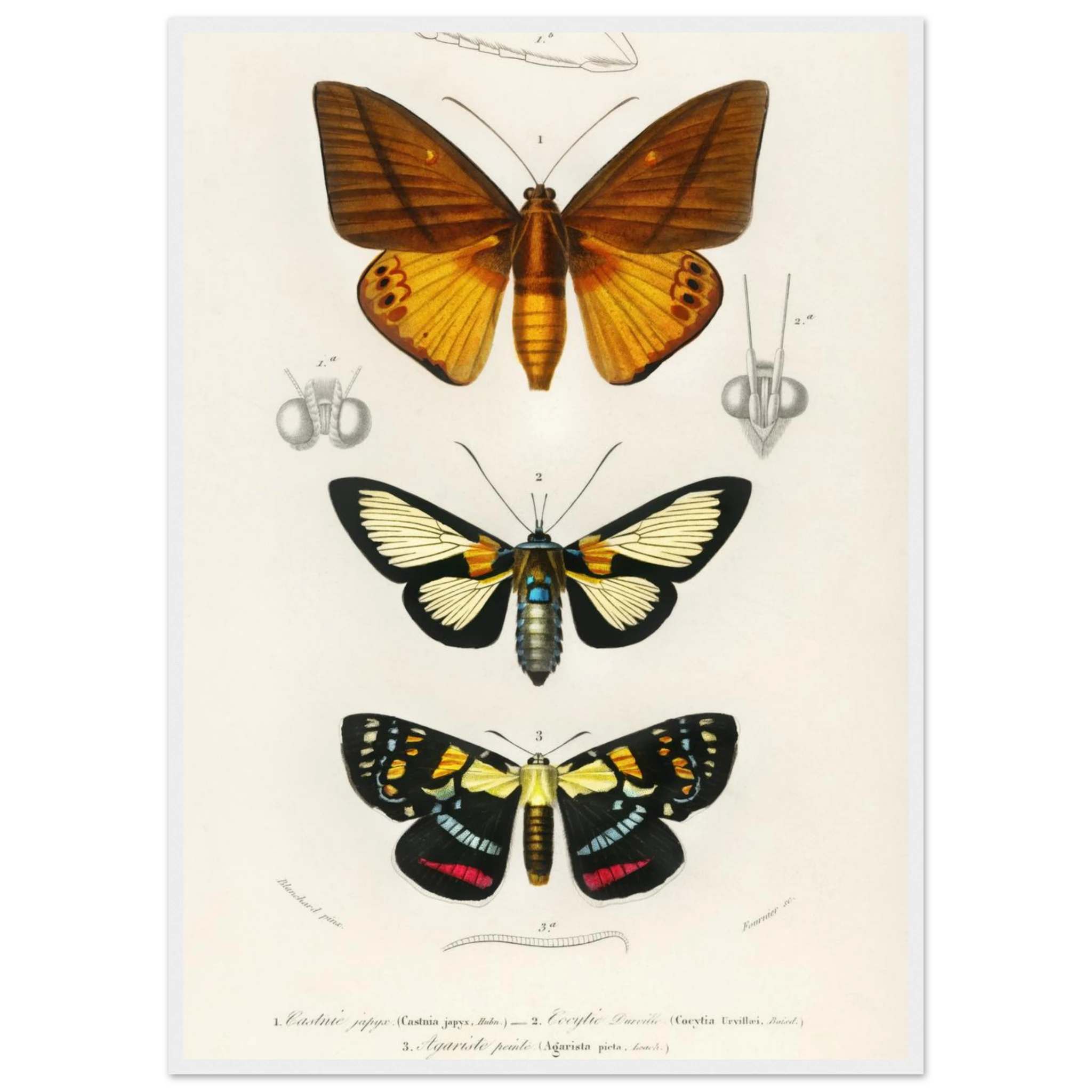 0e668859-0ad9-4272-bb9f-fb092da2e2ab