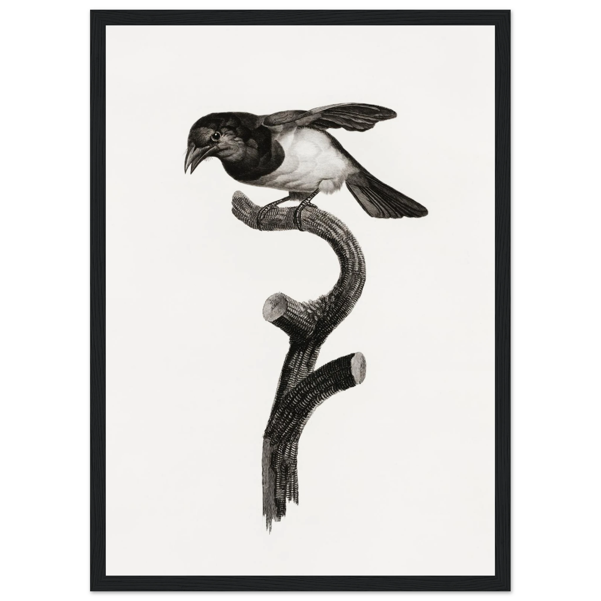 0e8f0be2-828e-4fb9-aa15-24cd71ed8bc3