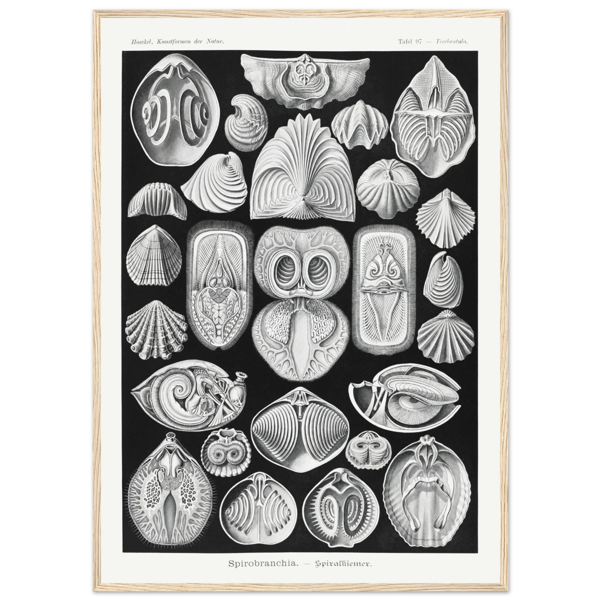 0e991727-730a-4e51-b2e3-ecdefd21d0ef