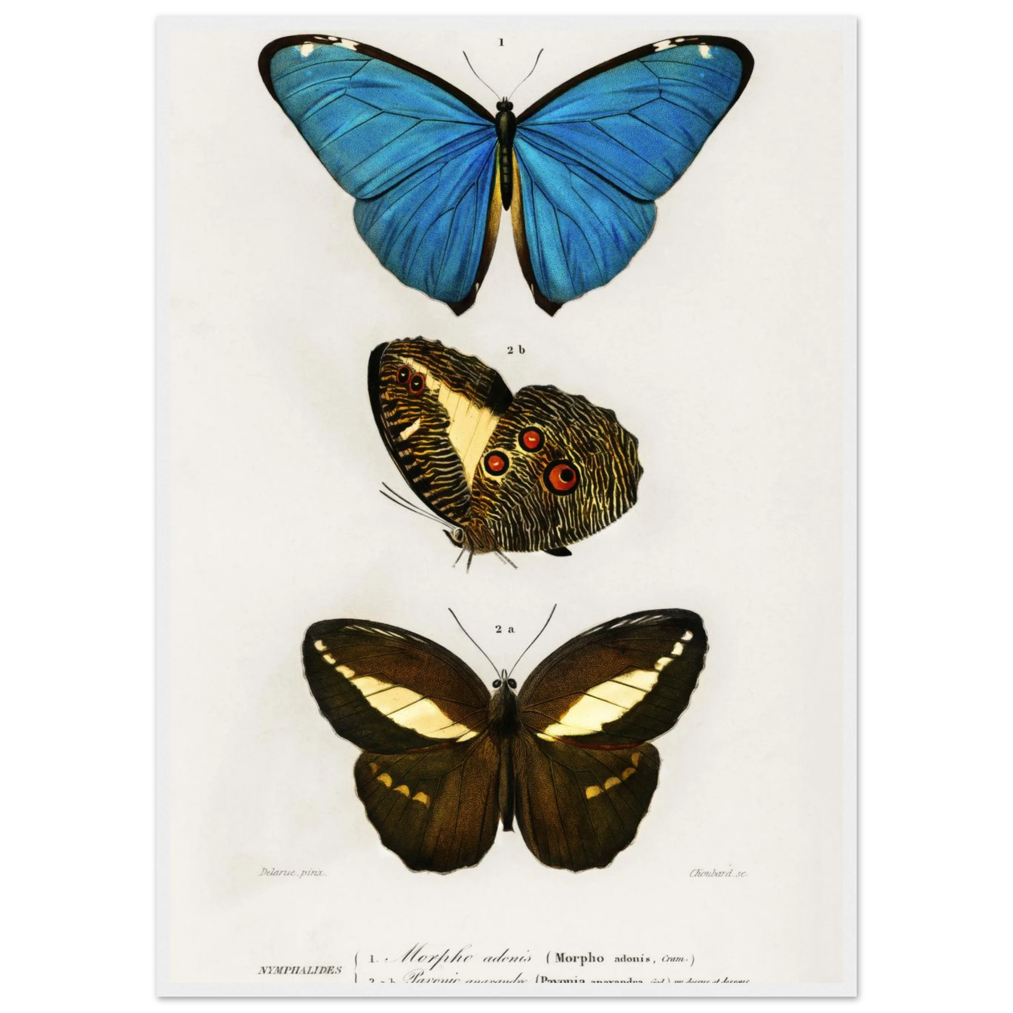 0f3e37aa-e19b-4744-80c4-534e82bb6385