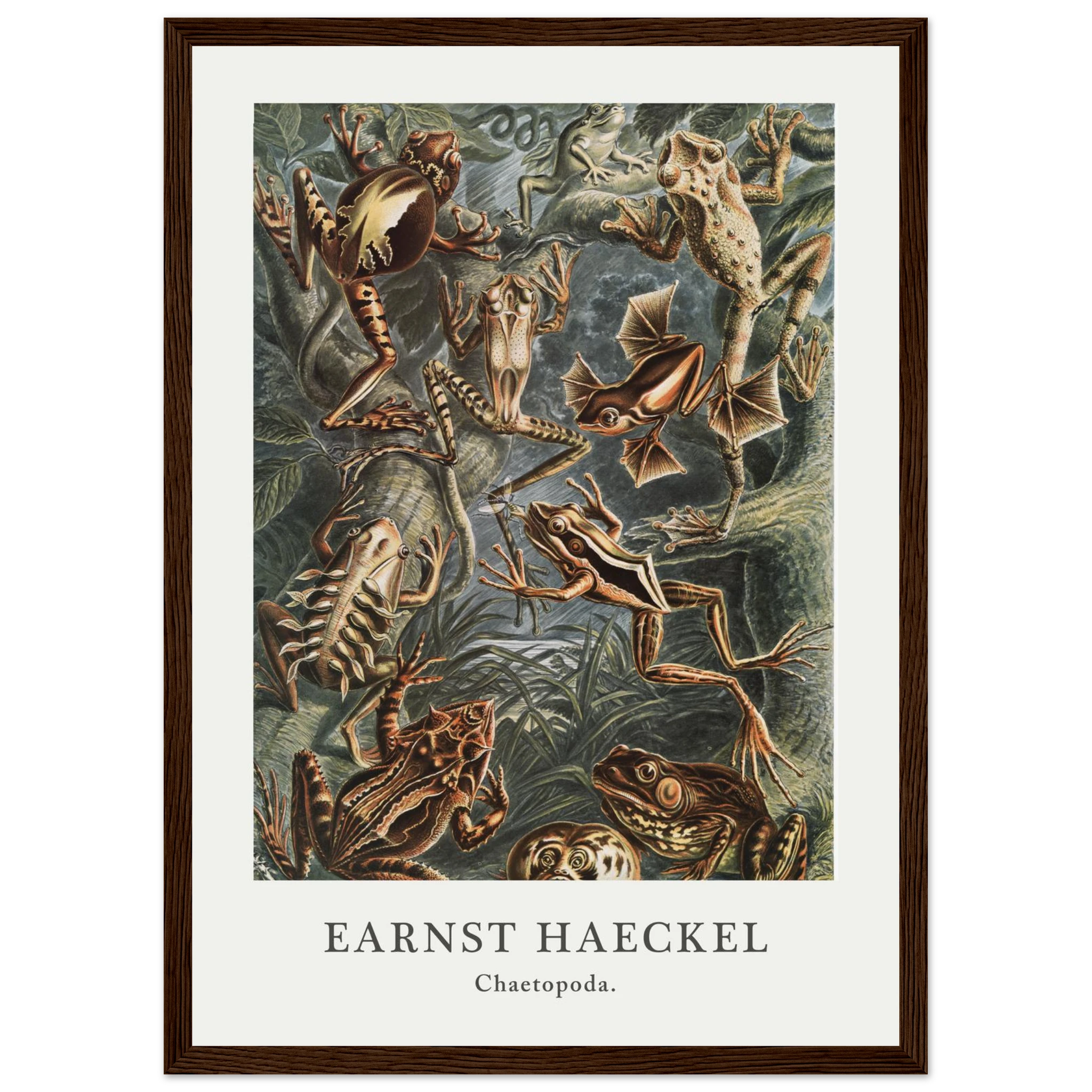 0fa792e6-6c08-4f26-b5d8-091cb71aca23