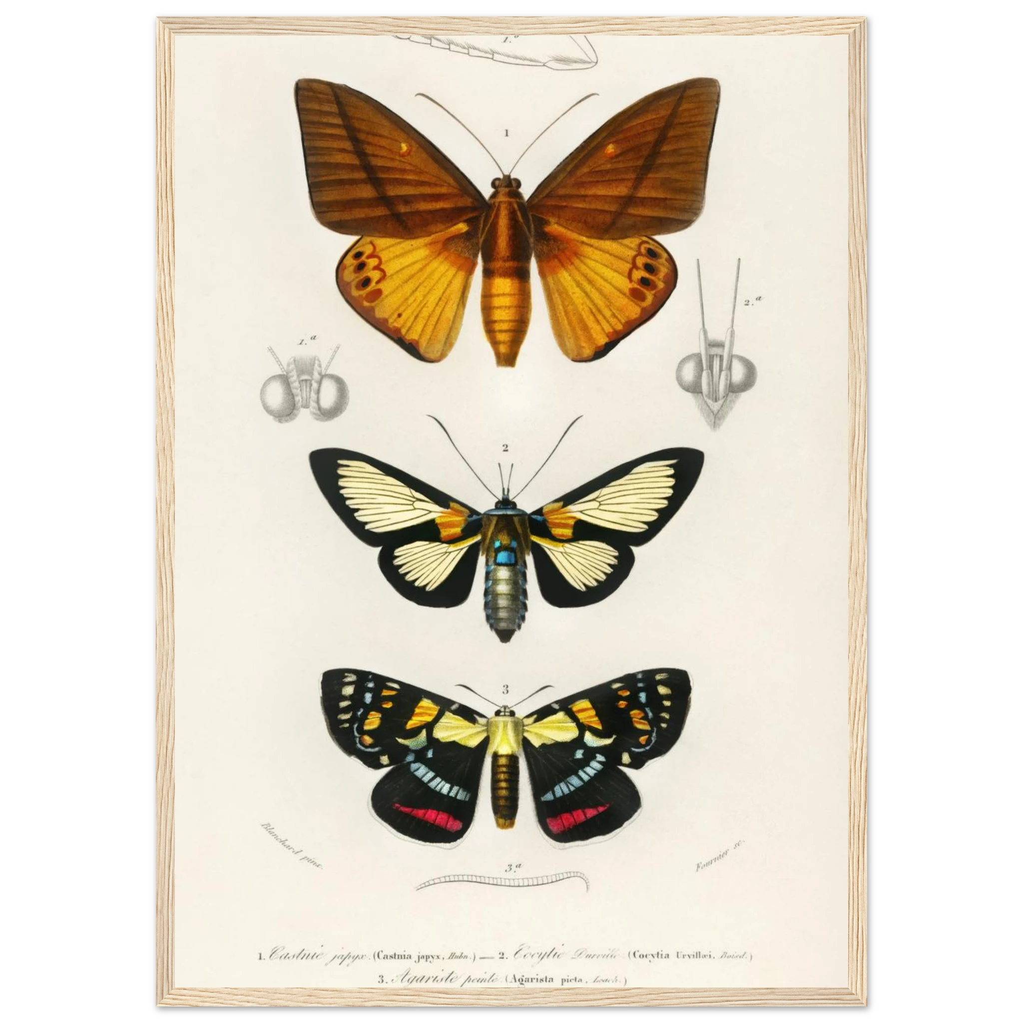 0fca4c7b-d36b-4f86-9e08-416bafaf3477