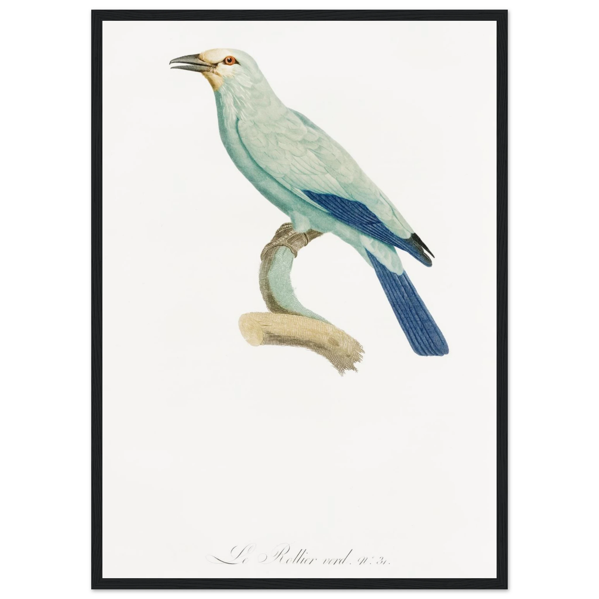 0fd1785c-ec37-483c-9f91-512191a487d0