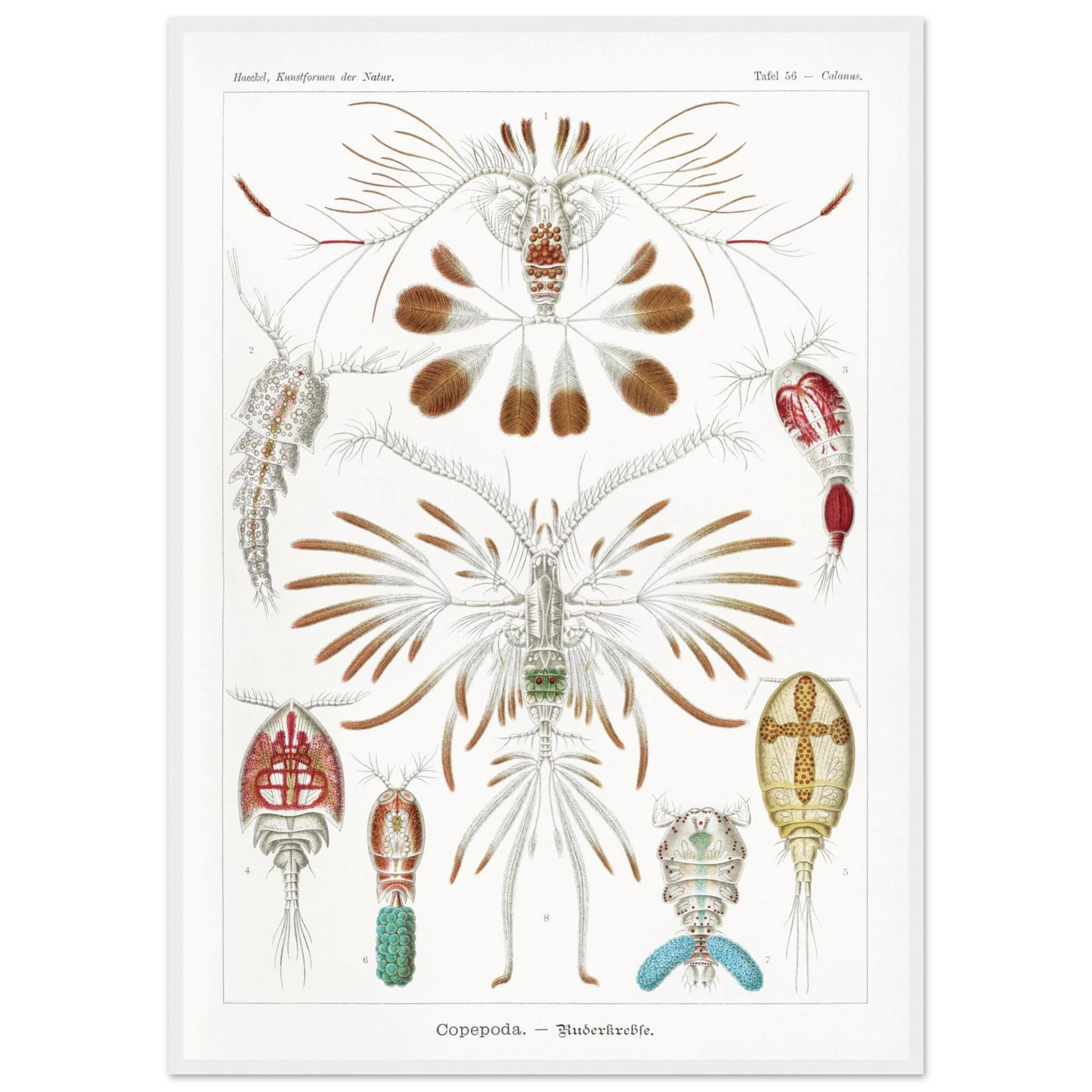 105cd4e3-9f35-4508-92b4-d710252acc9b