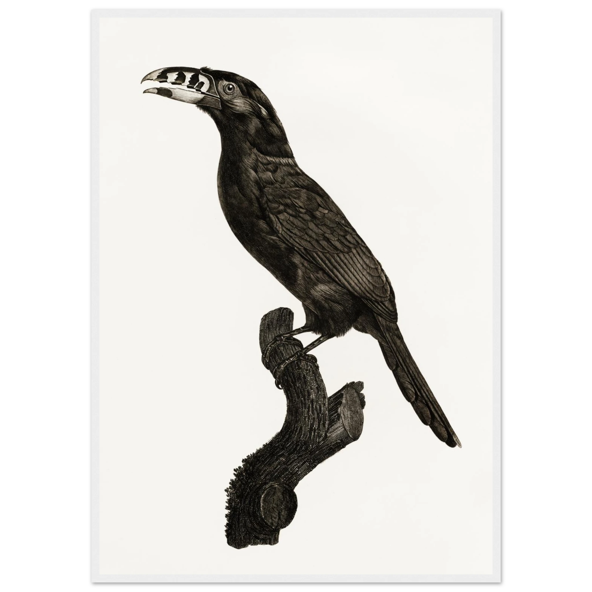 109db2eb-65ee-40ee-8868-2fe229a49d4b