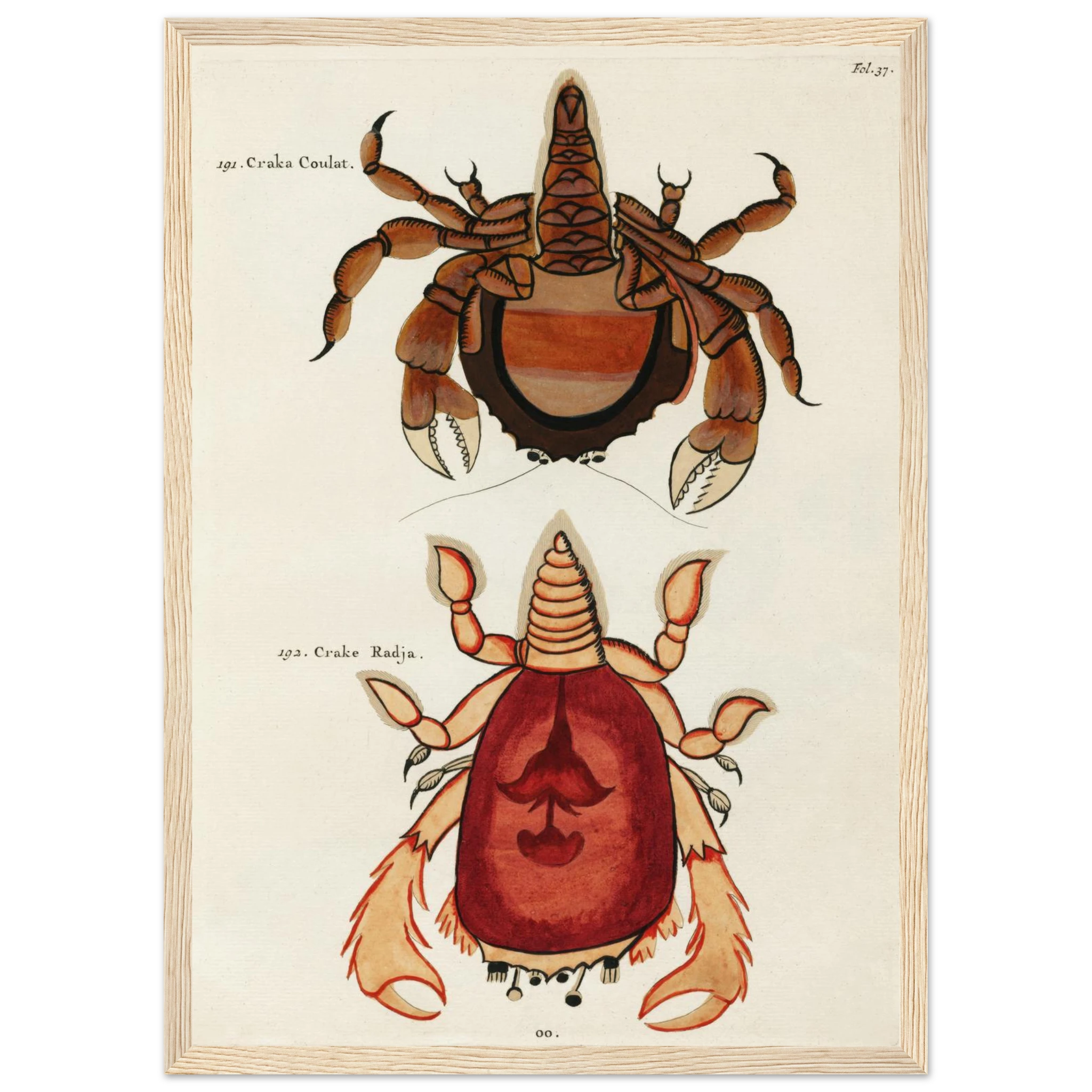 10c0d968-ef61-4db7-884f-e7f6e45836d6