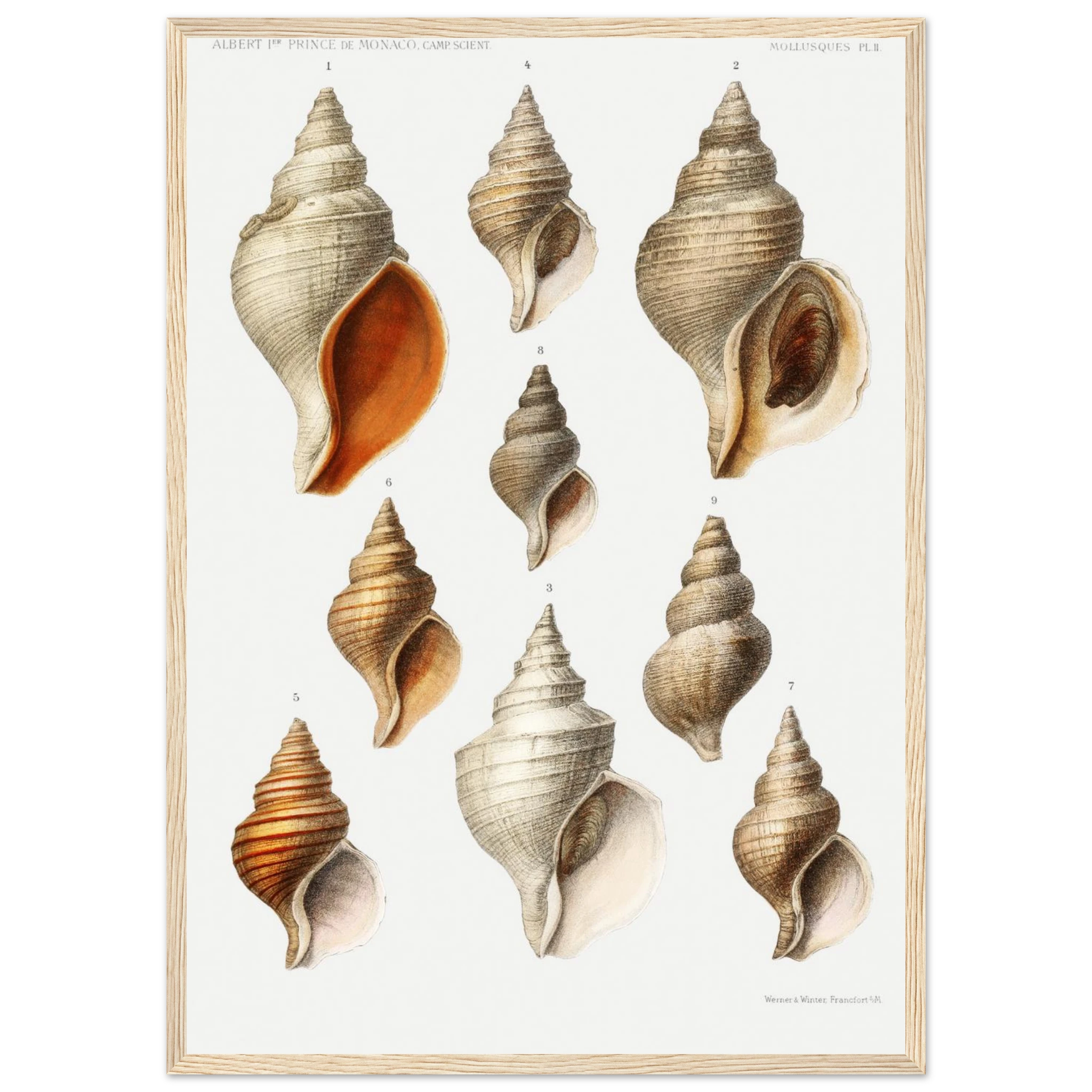 10ee4f67-232a-4a16-b1f1-65f45be9aa3f