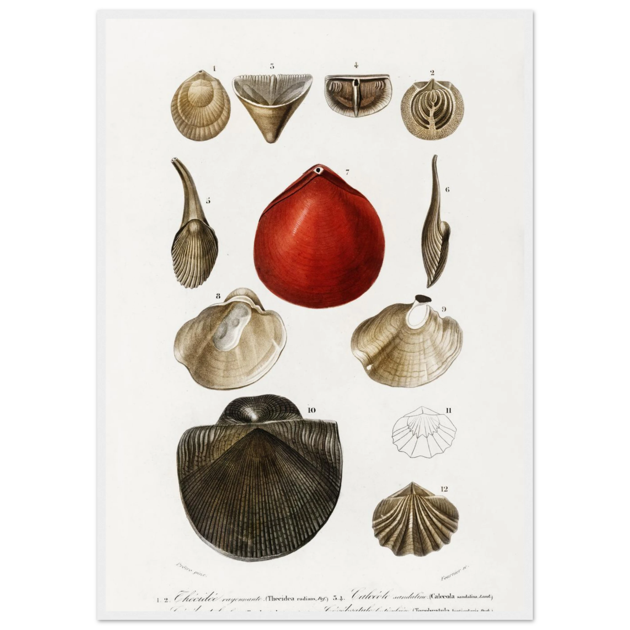 111f8312-f7e3-42f7-828a-8e662d380993