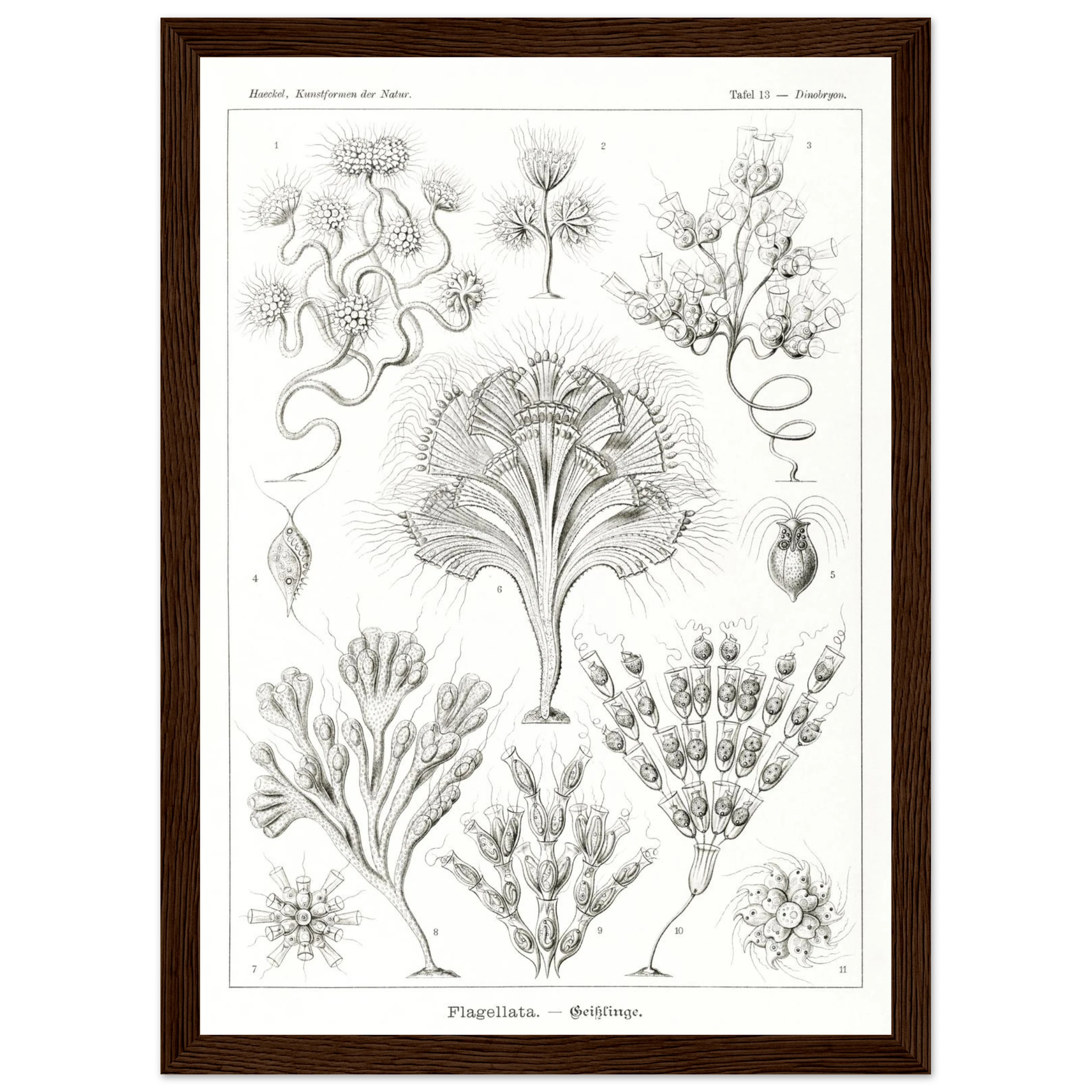 112a3a6f-3436-4688-9f7a-572802142beb