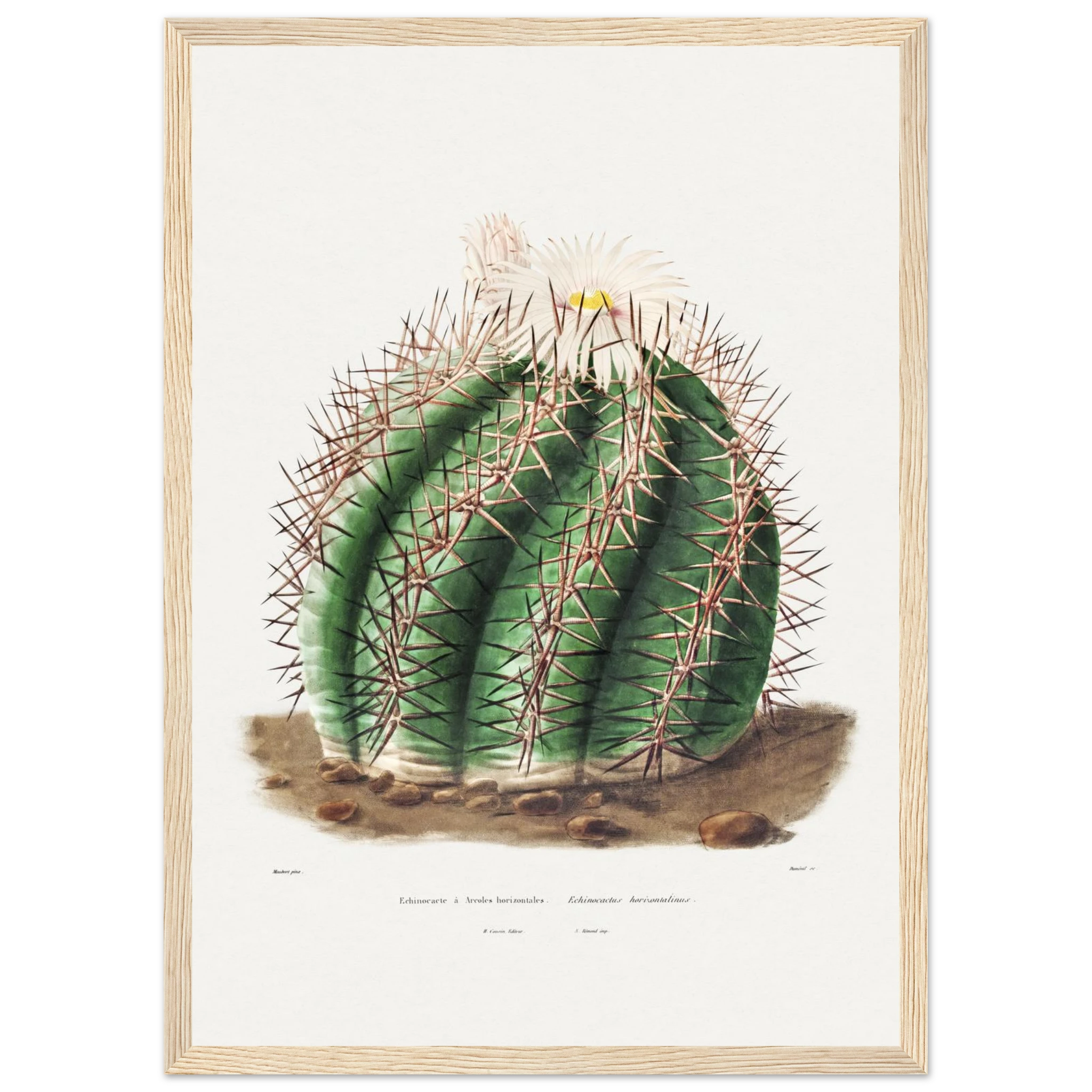 113d746a-6566-44d7-84e0-d3d197826905