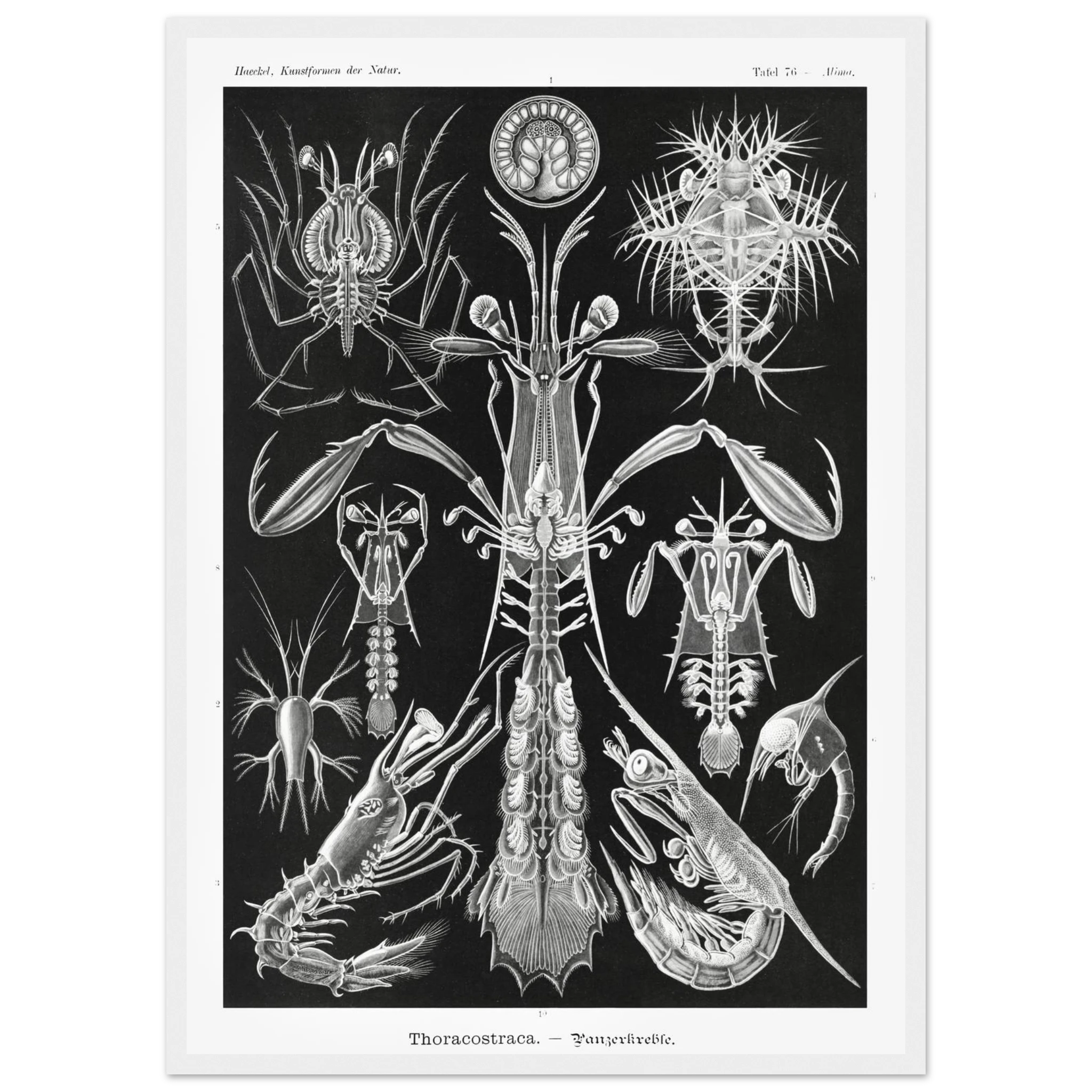 11462b84-56cb-48ce-95bc-ec38f4049d44