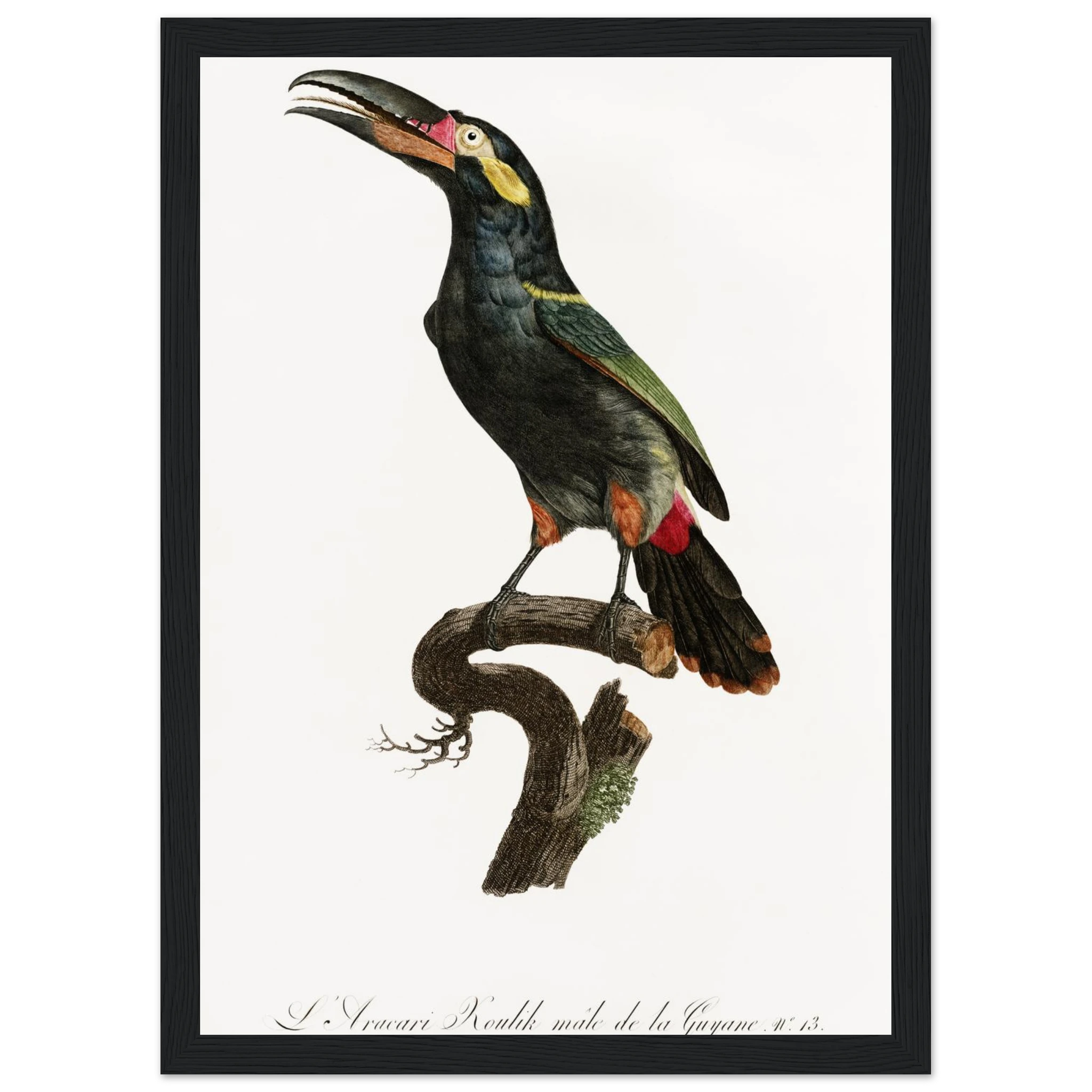 116c5bec-52a5-40dd-8b93-55d381d3f7e0