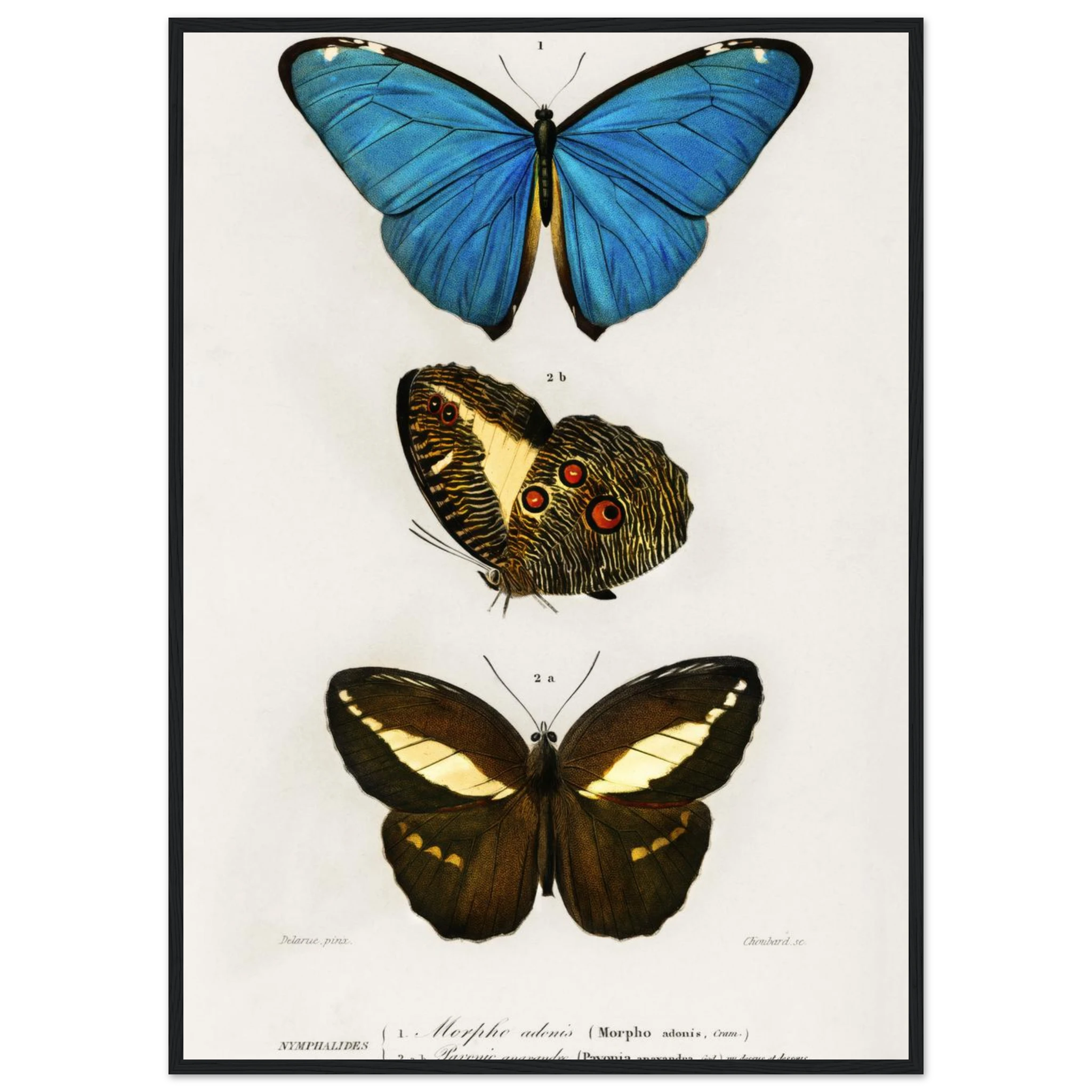 11bb3e24-53ab-46d0-b325-f39cff3bf8d0