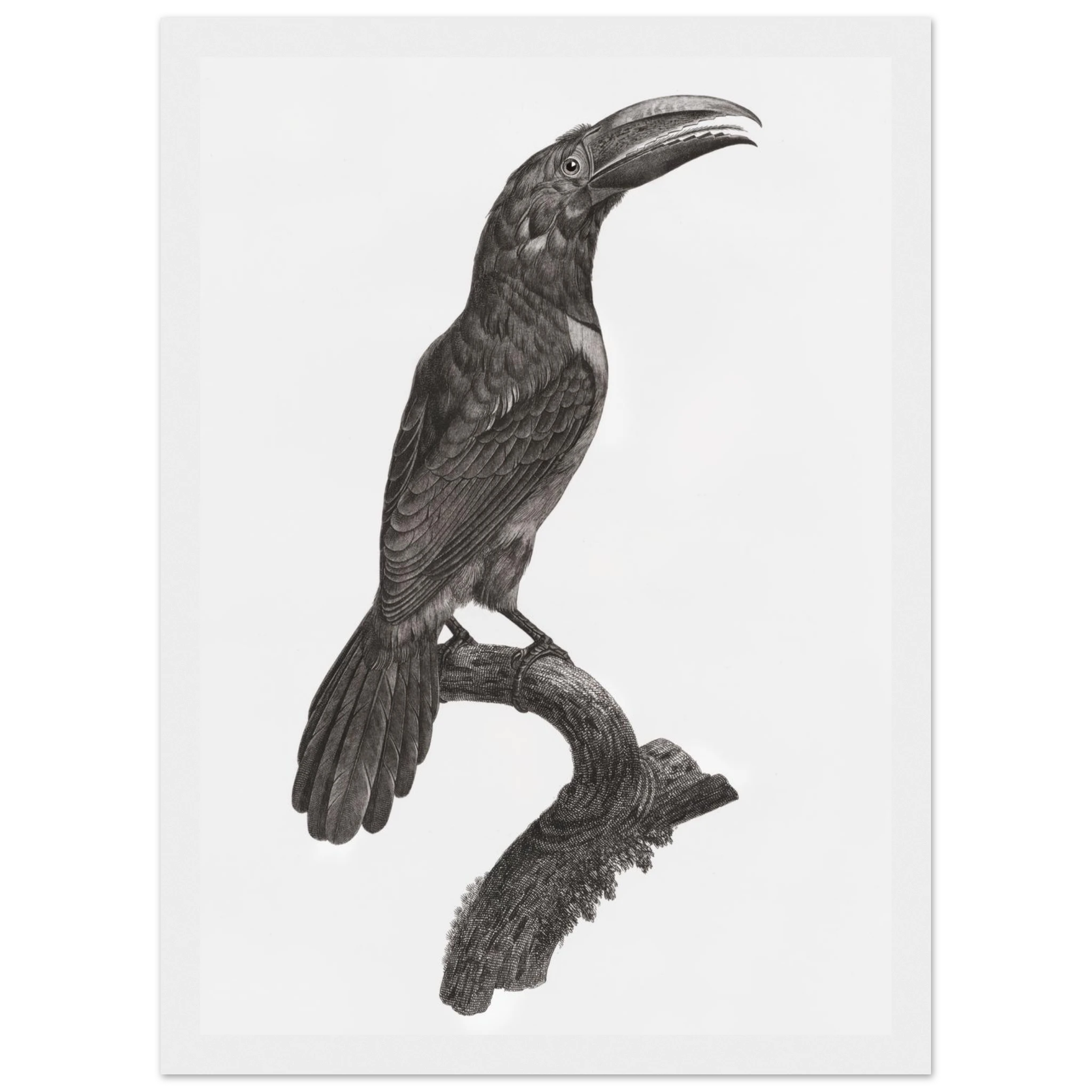 11c3068f-b872-42ff-83cb-a70f974edfe9