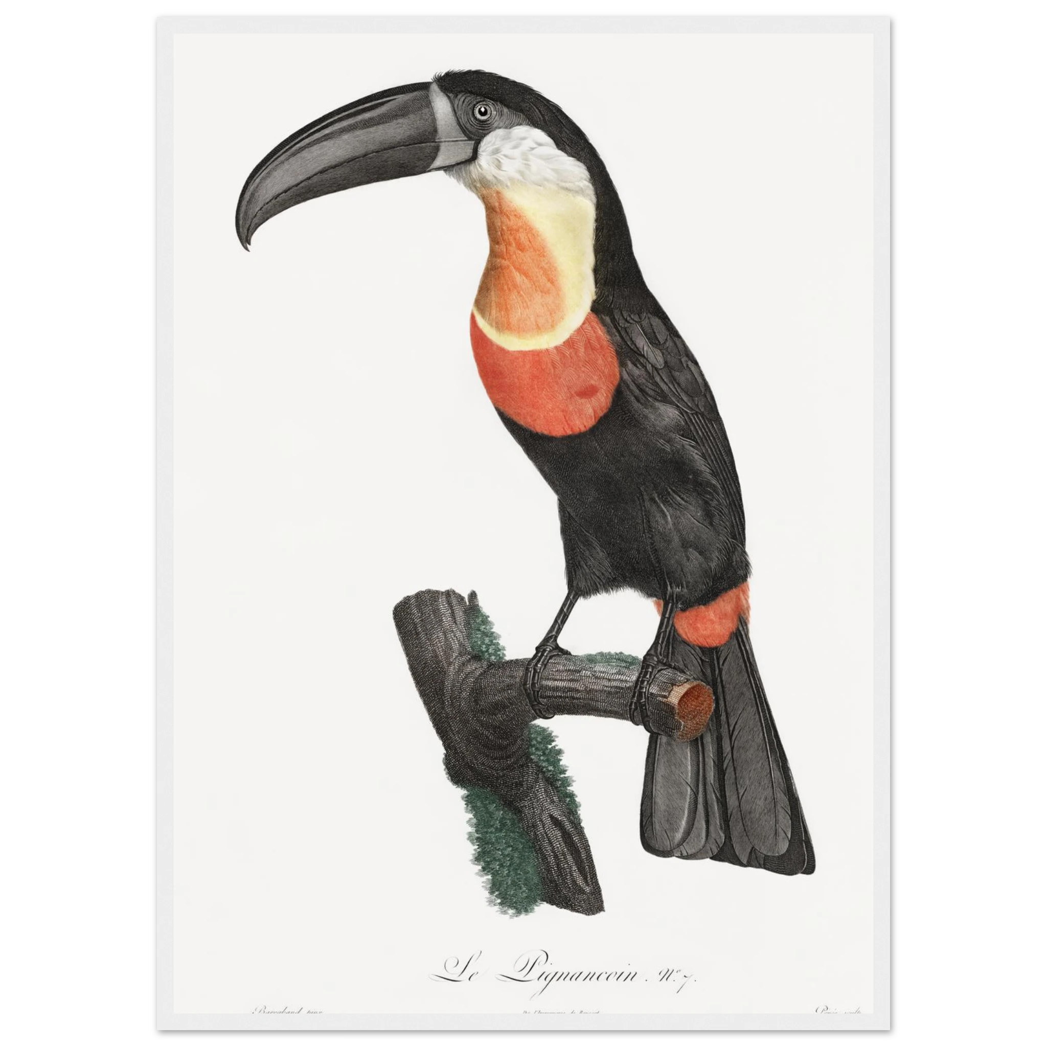 1211507e-2a91-4793-8213-e6ad71d71a9a