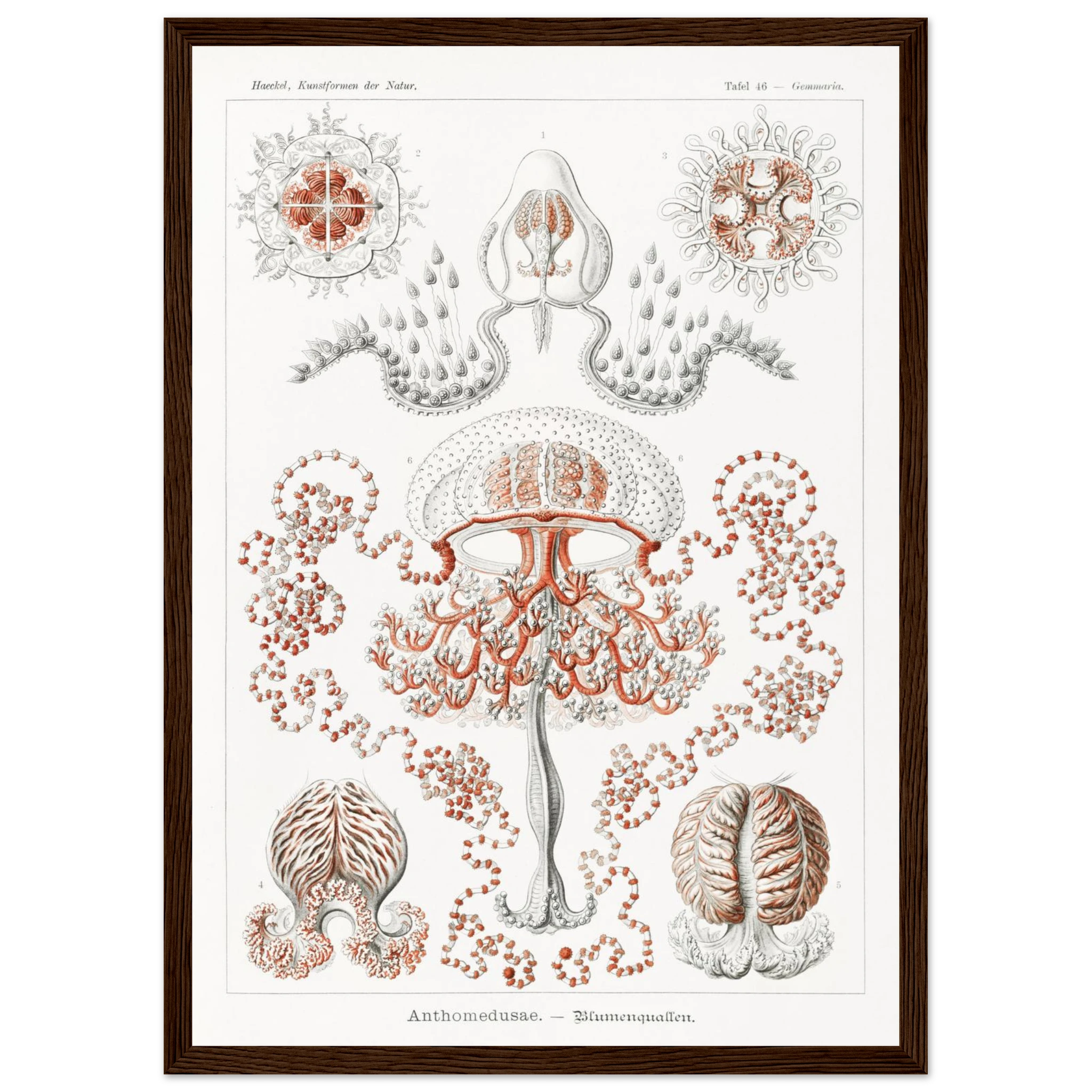 1239ccbe-e659-4b4c-a2e2-56bb1aed5be9