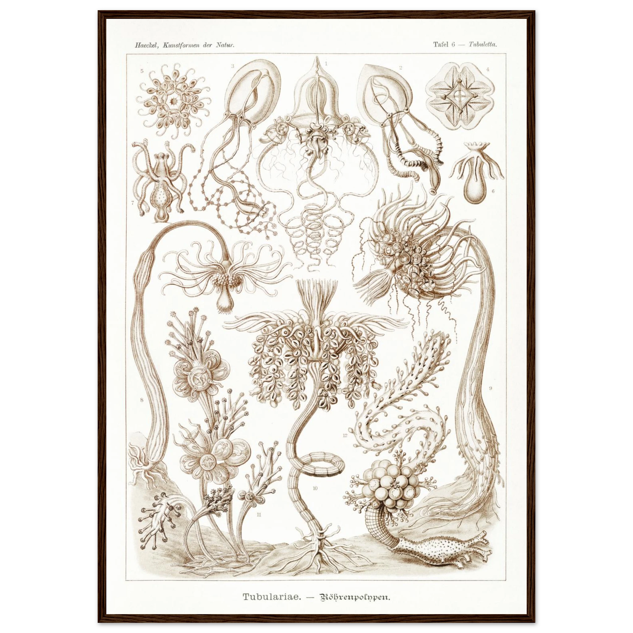 123bc85e-ba6b-4bf7-aa2f-39f18eba536f