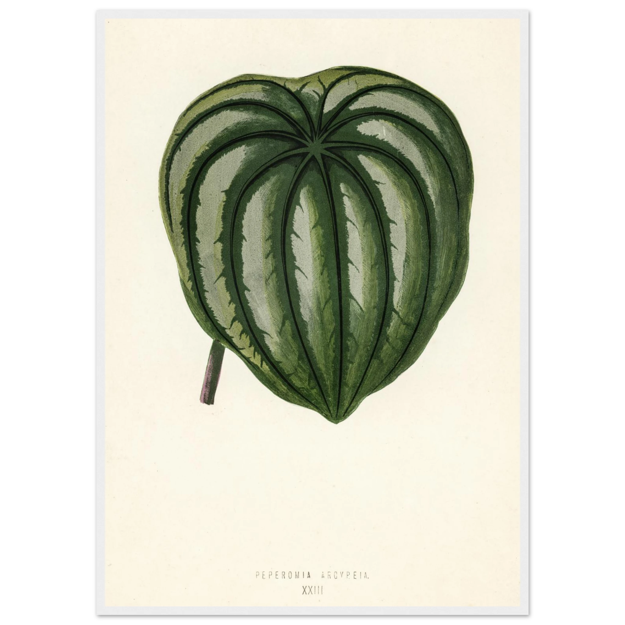 127a59c5-4165-4405-a21e-0e65d06fee8f