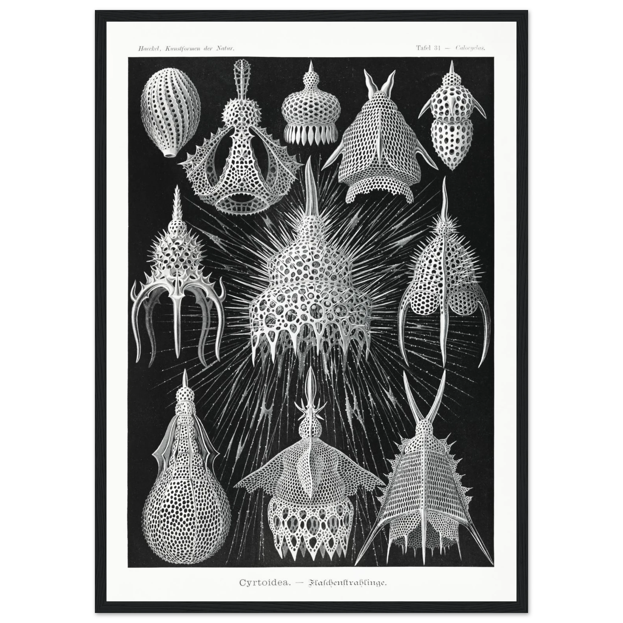 127d3efc-ee20-4871-9225-d543dfafc2c9