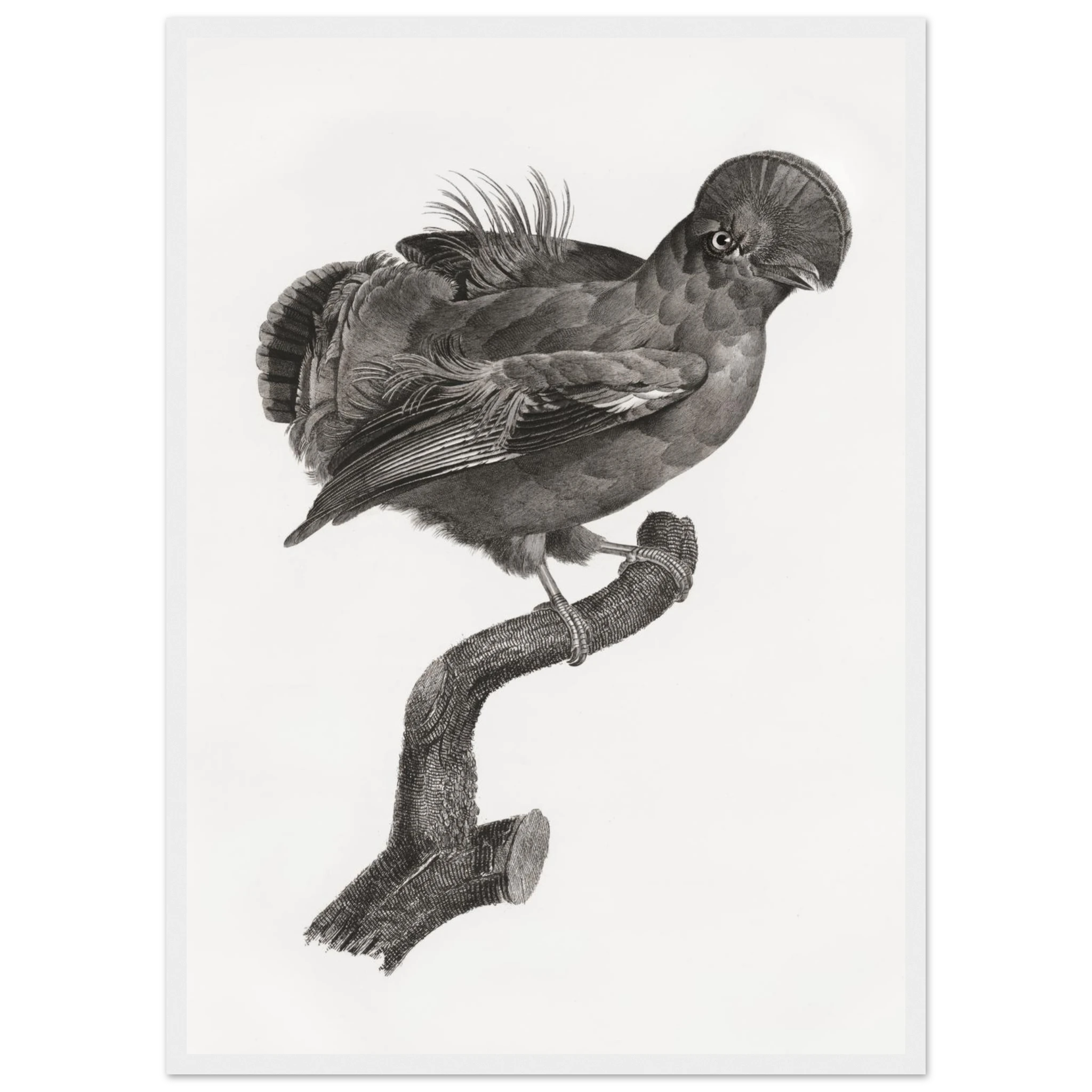 1289a8e1-2e90-4b87-b9b5-db3589727ecd