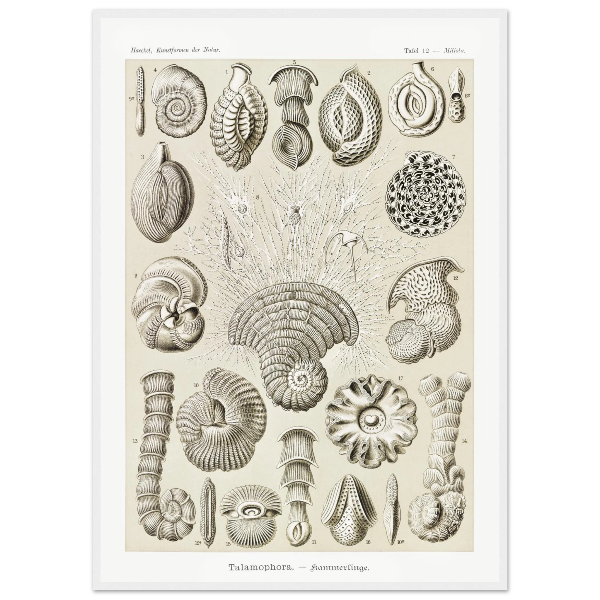 12a969c1-3fbd-481c-bd2f-f101506cc361