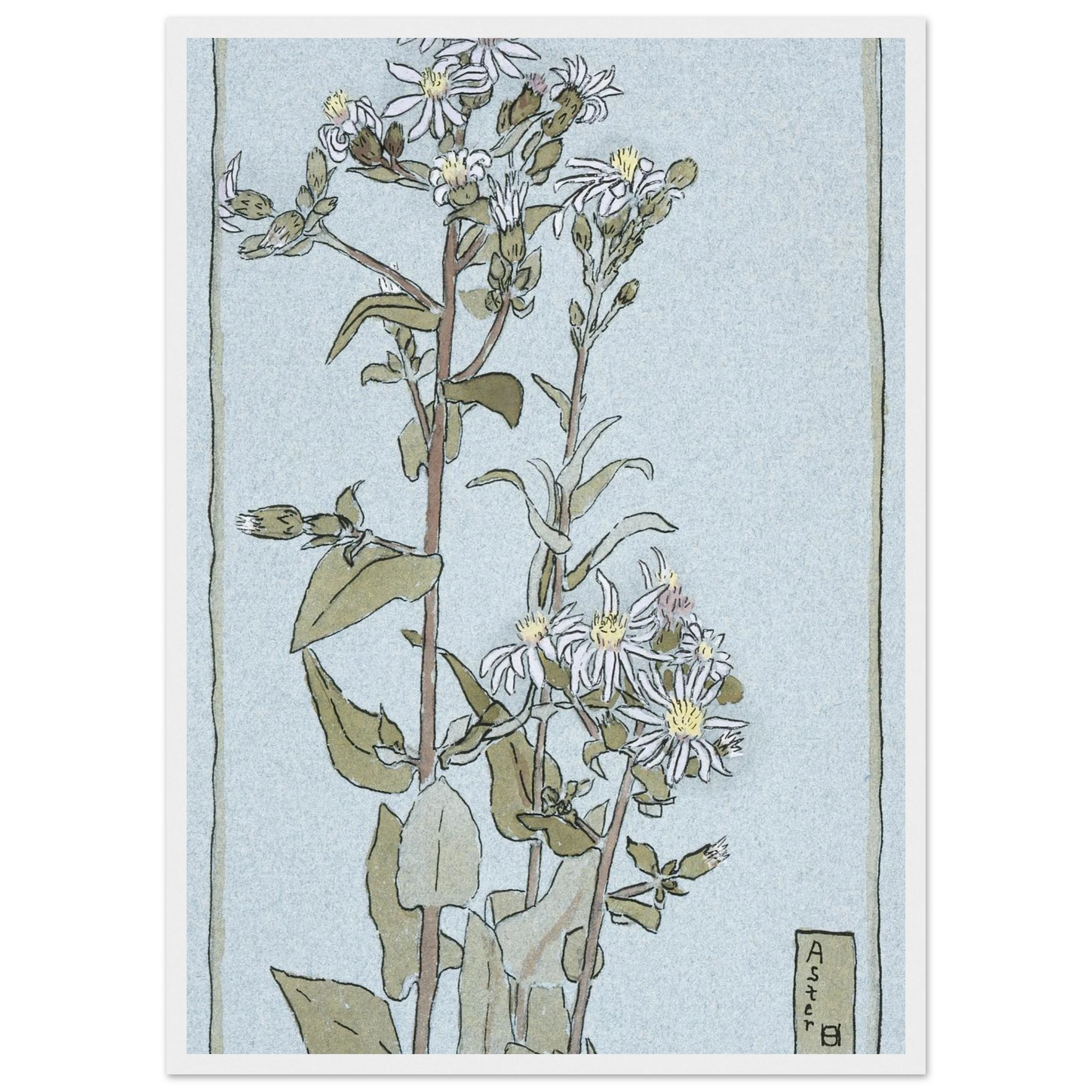 12bb5865-c927-4501-bf01-bd72d21568ed