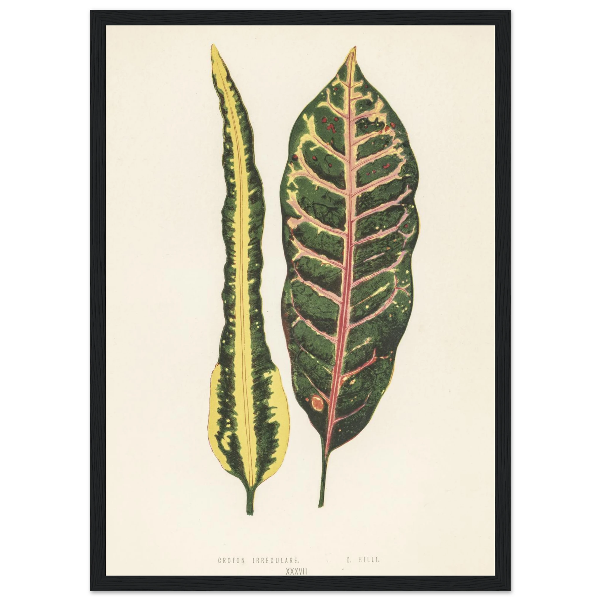 12d656dd-d5a0-4946-b382-3ac16d251bb8