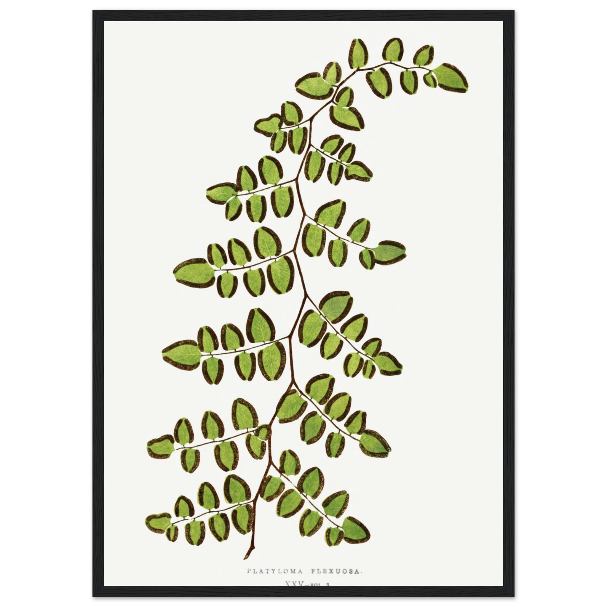 12fe6a8f-96de-4092-9d20-2ee4f30075a2