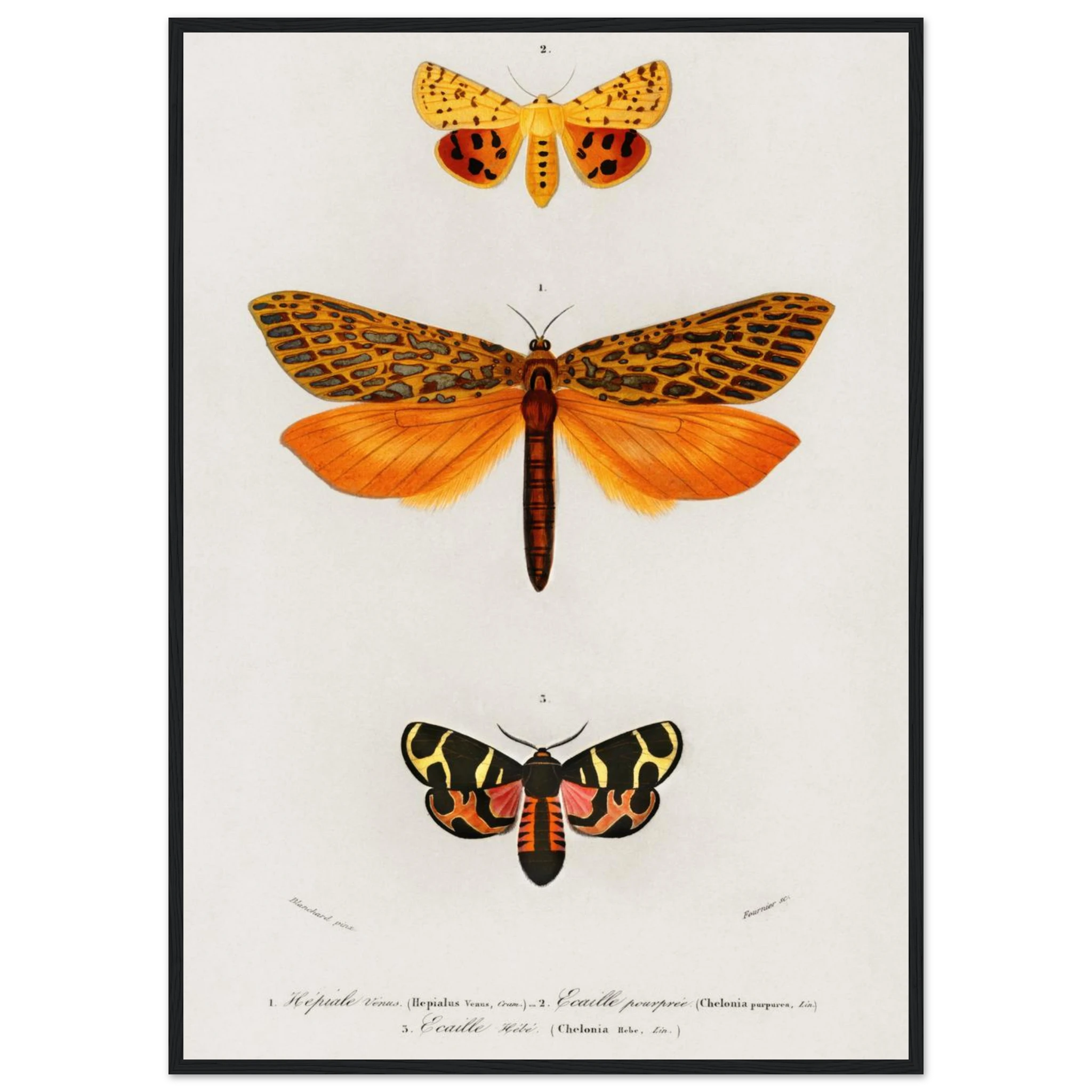 130fee03-a8fd-47f2-9154-a8671dcba46c