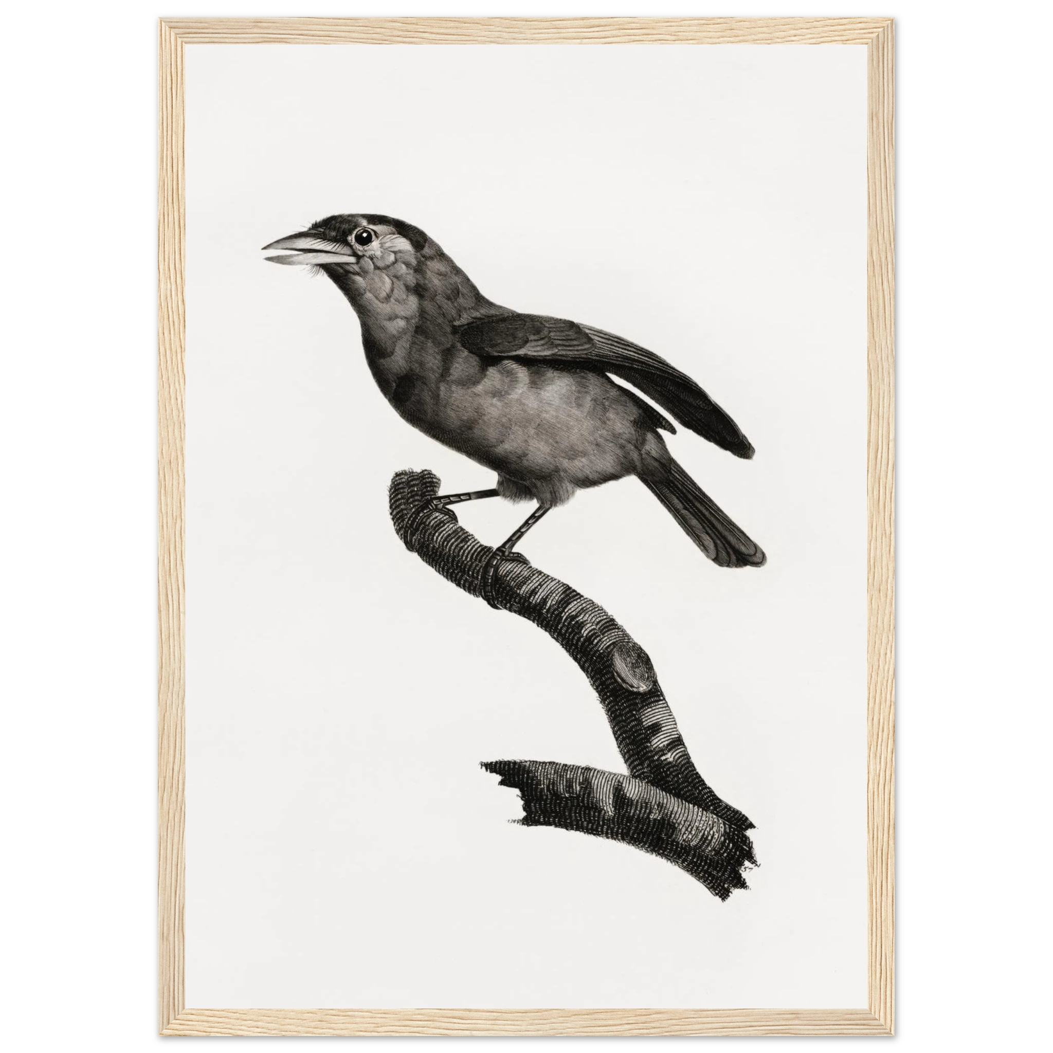 13443873-3fd4-4945-bbbb-4c2b1afe59ea